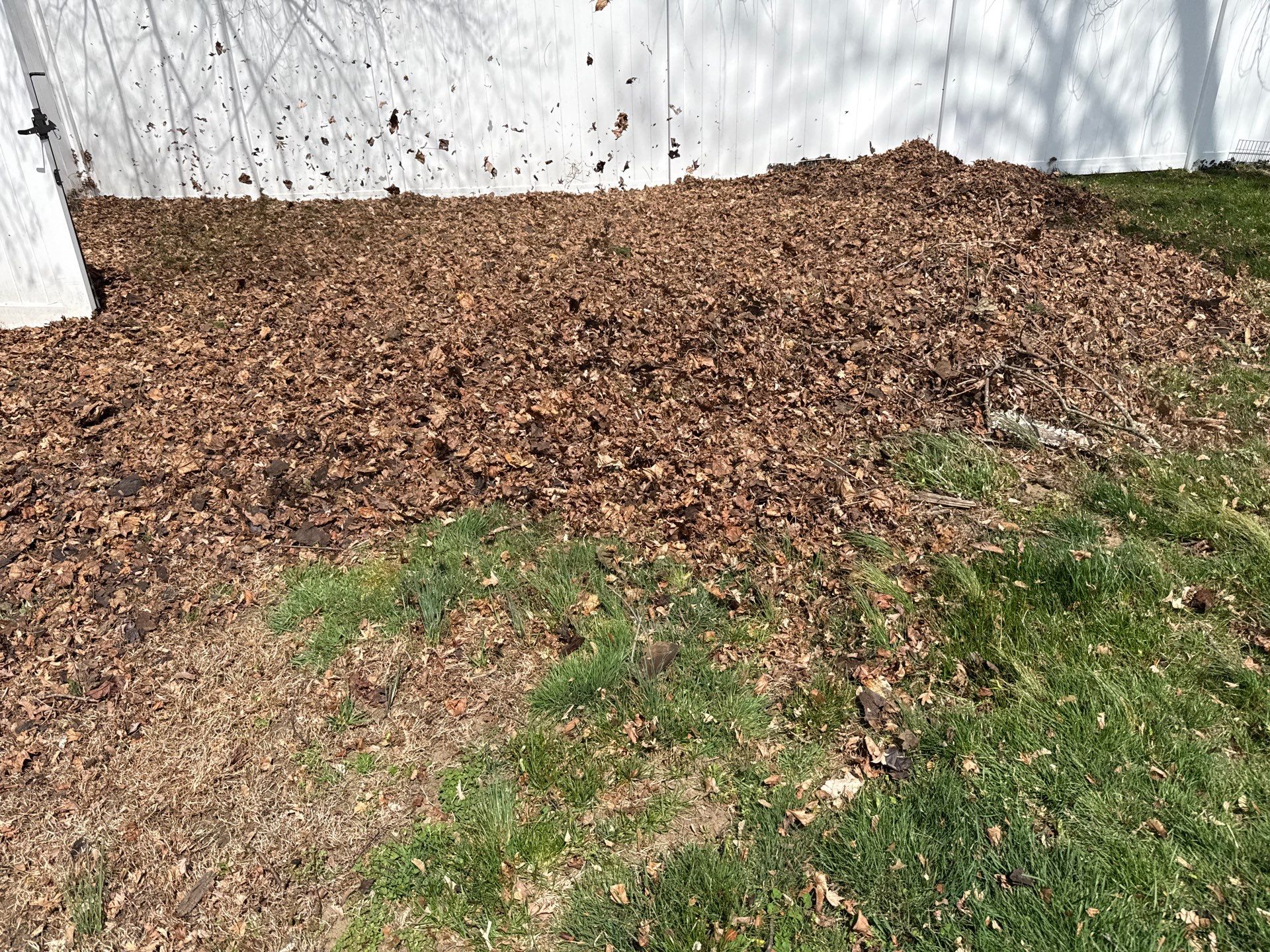 Comprehensive Spring Cleanup and Debris Removal in Clinton by Diamond Image LLC