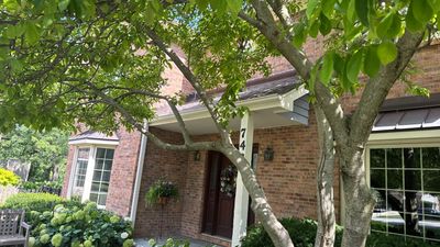 Turtle Shell gutter protection installation in Naperville, IL 60565, photograph 24
