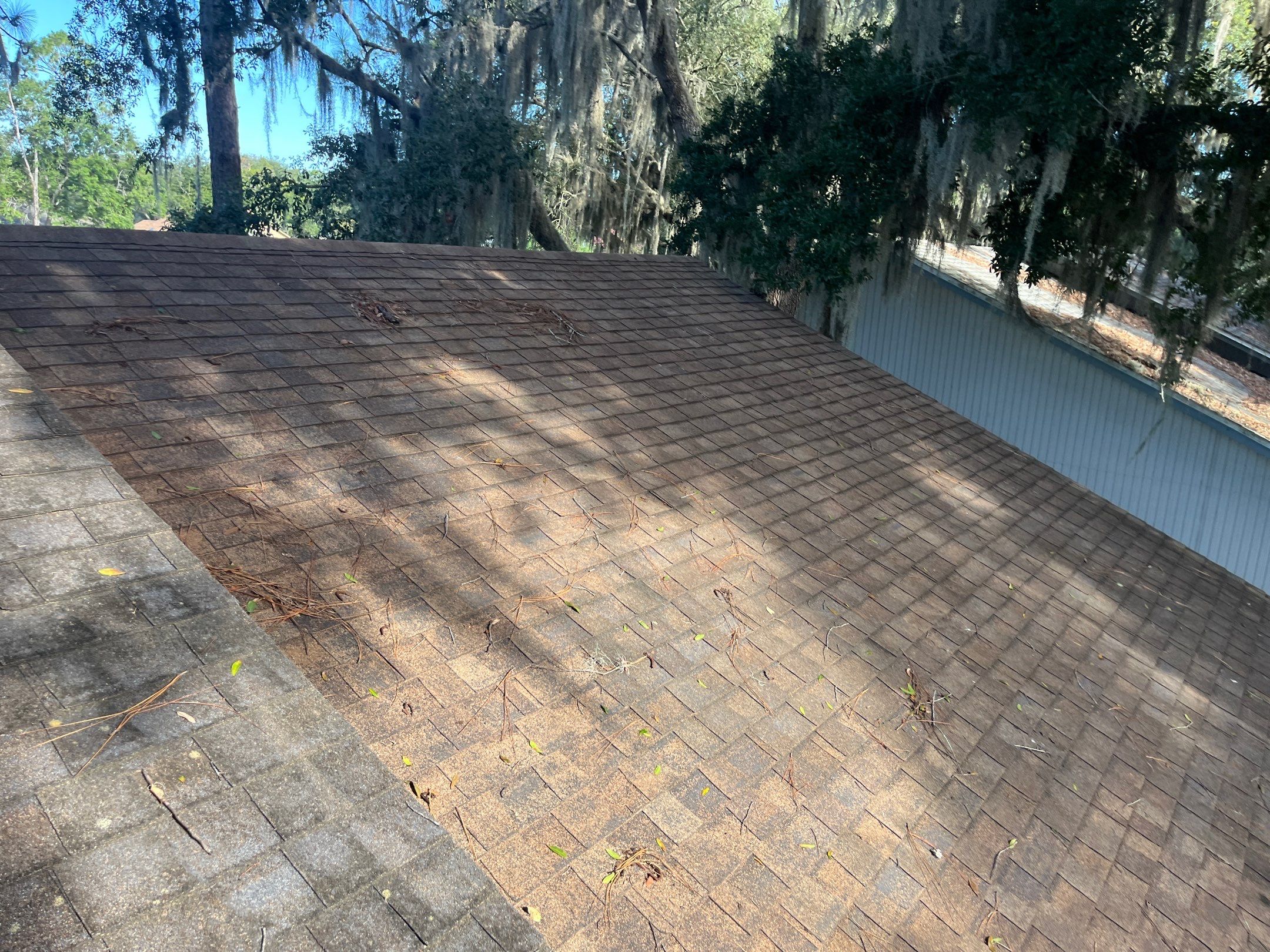 Shingle -> Shingle by Prime Roofing