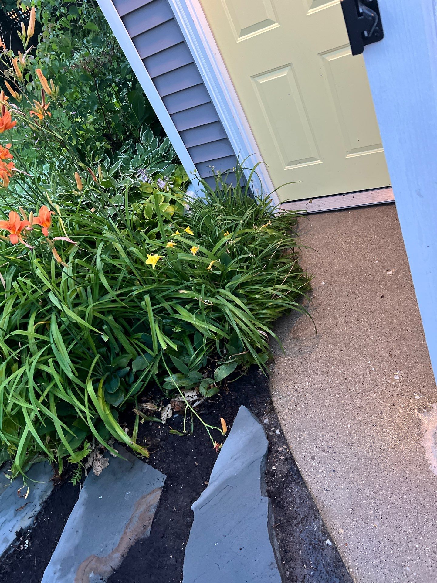 concrete cleaning using Algaecide, soft wash soap by Northern Power Washing LLC.