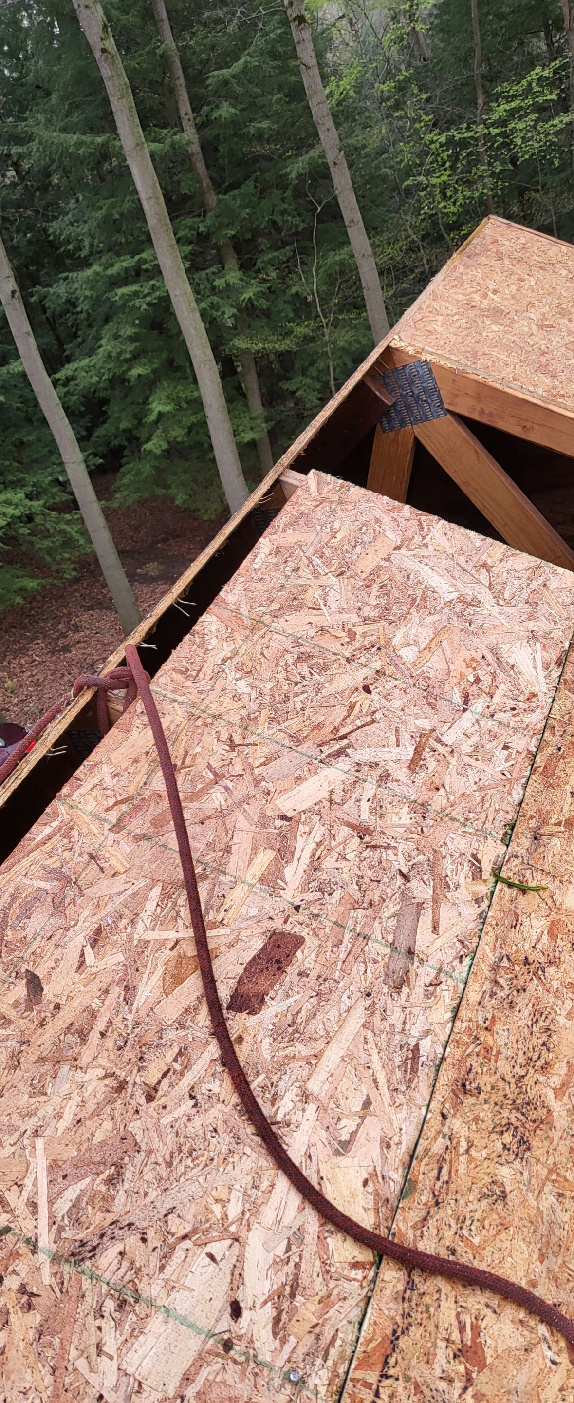 Brand: Atlas Pinnacle Color: Pristine Scotchgard Black Drip: Black by Eagle Eye Roofing