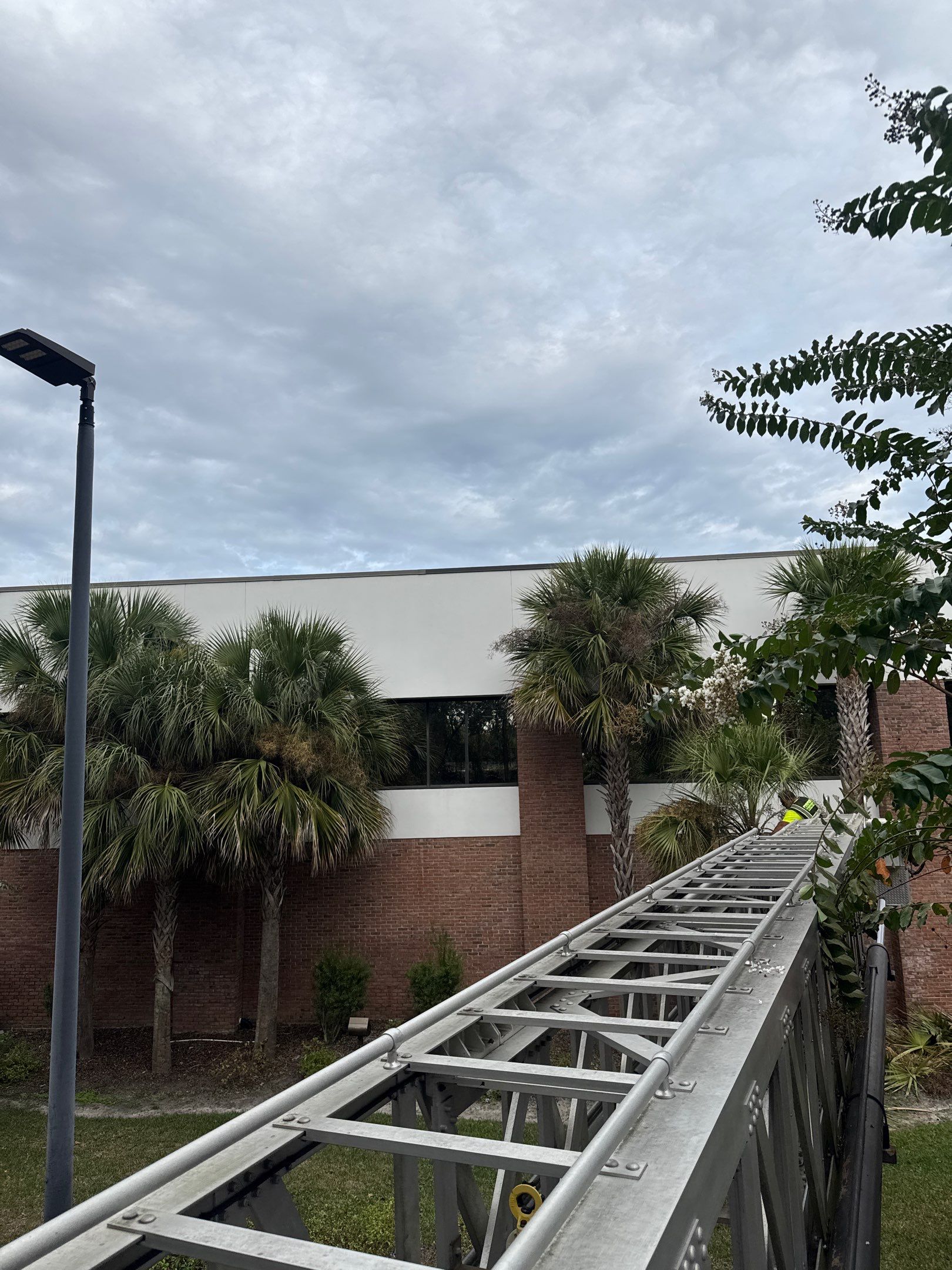 Volunteer Work | Episcopal High School of Jacksonville by ProGreen Services