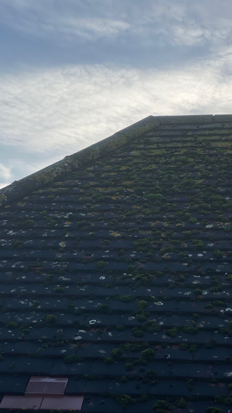 Roof Clean - Biocide Treatment using Mosmatic FSC and Biocide by Ges Exterior Cleaning ltd