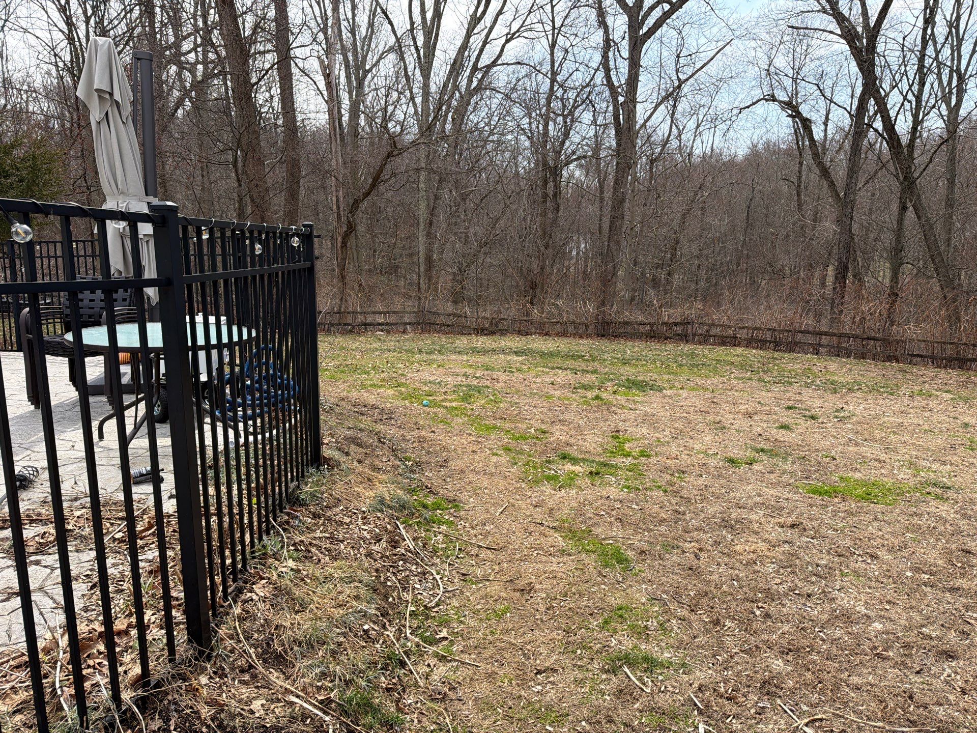 Comprehensive Spring Cleanup and Landscape Bed Mulching in Orange by Diamond Image LLC