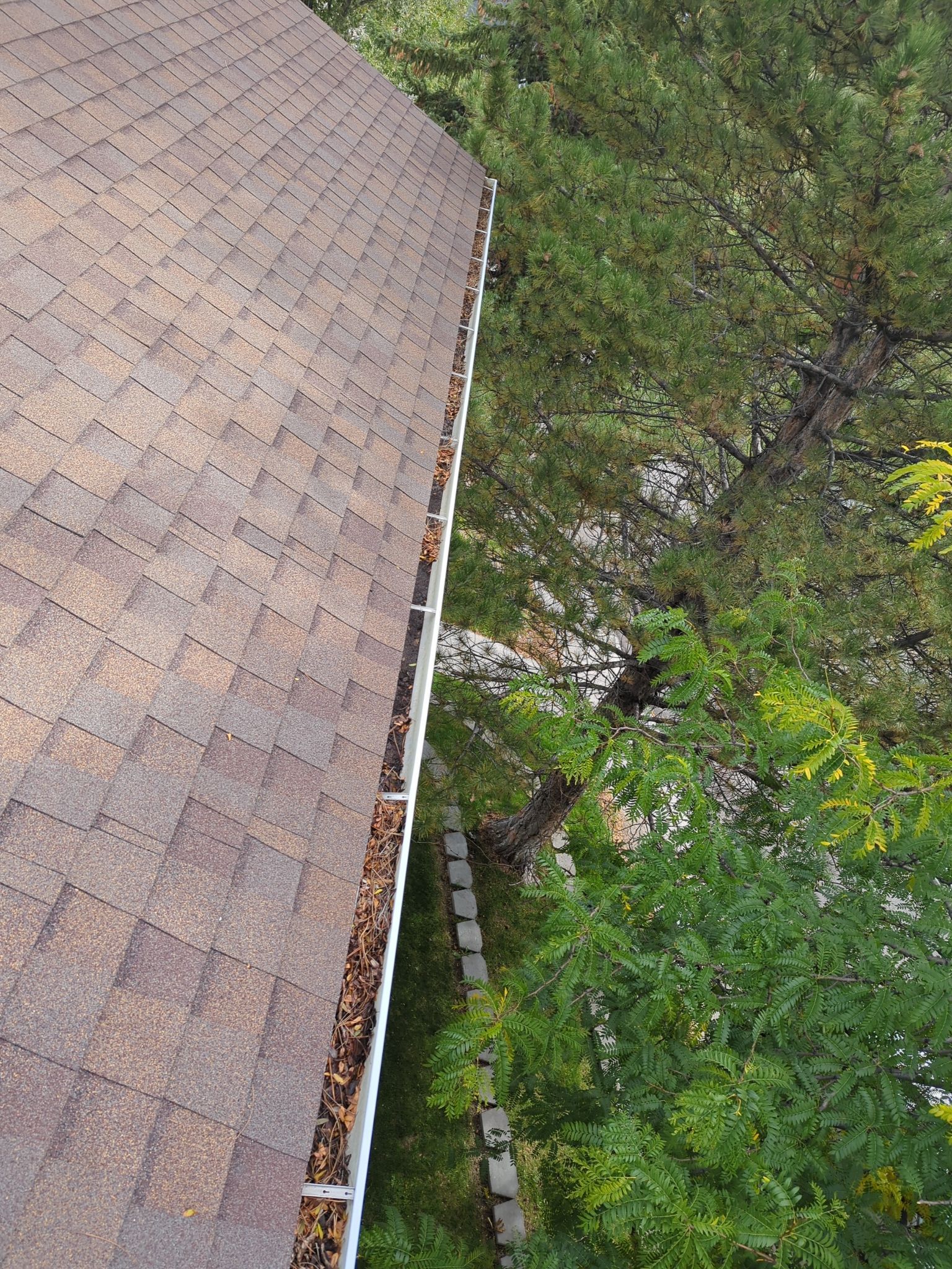 Commercial gutter cleaning Bozeman, MT before photo with filled gutters