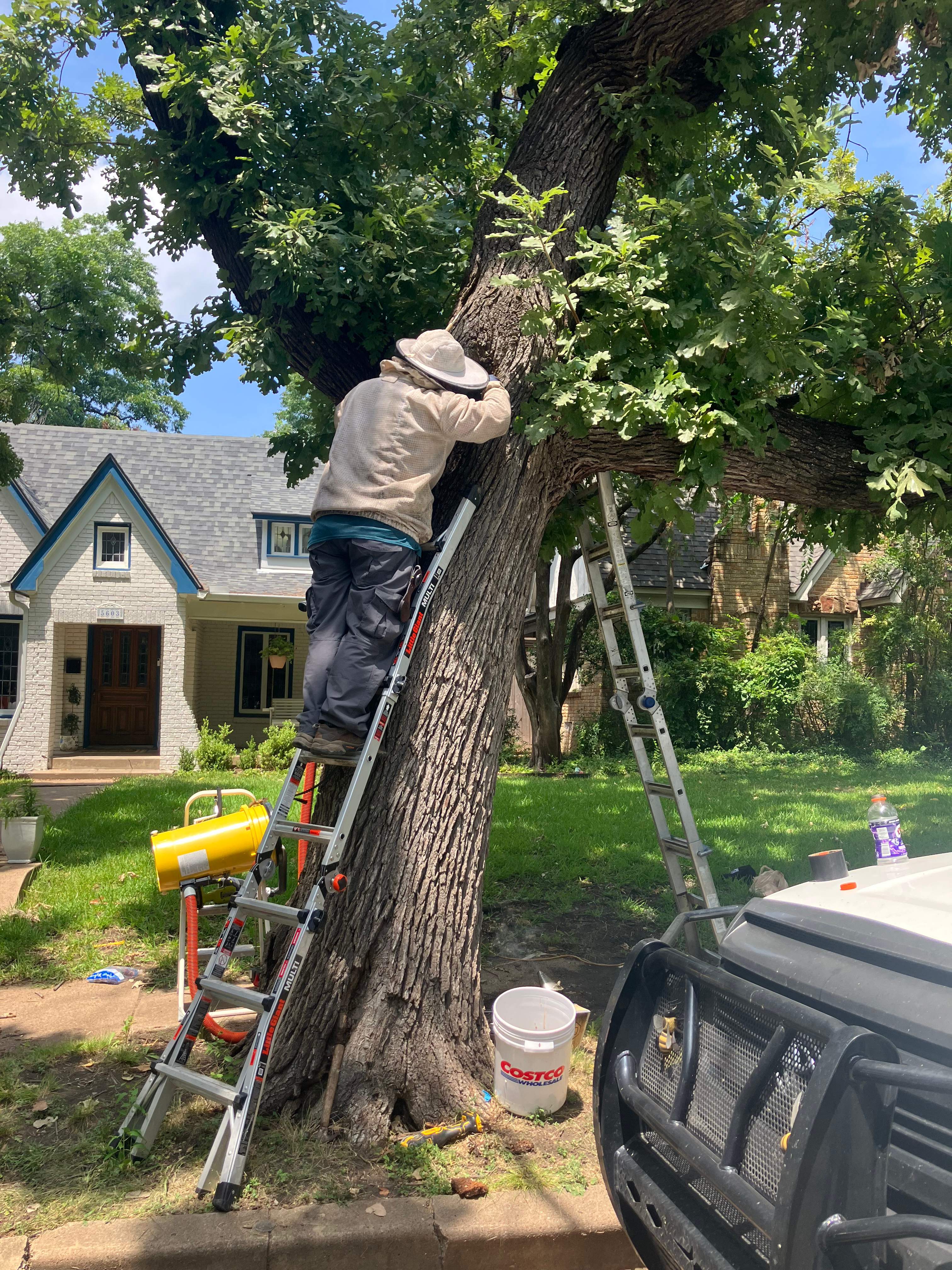 Tight Squeeze by Rockwall Honey Bee Company