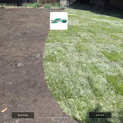 Project in Concord