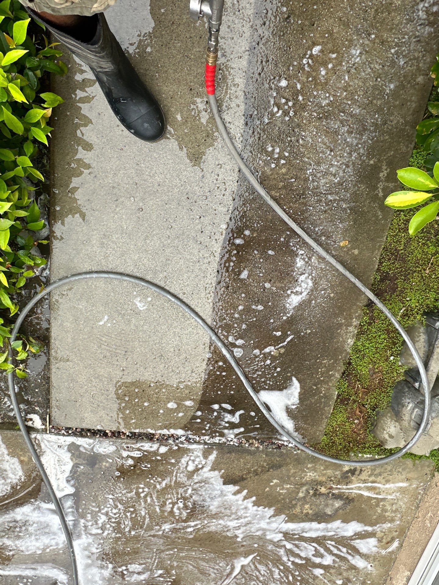 Driveway, patio, and rear entry walkway pressure washing in Orange County by Property Cleaning Experts