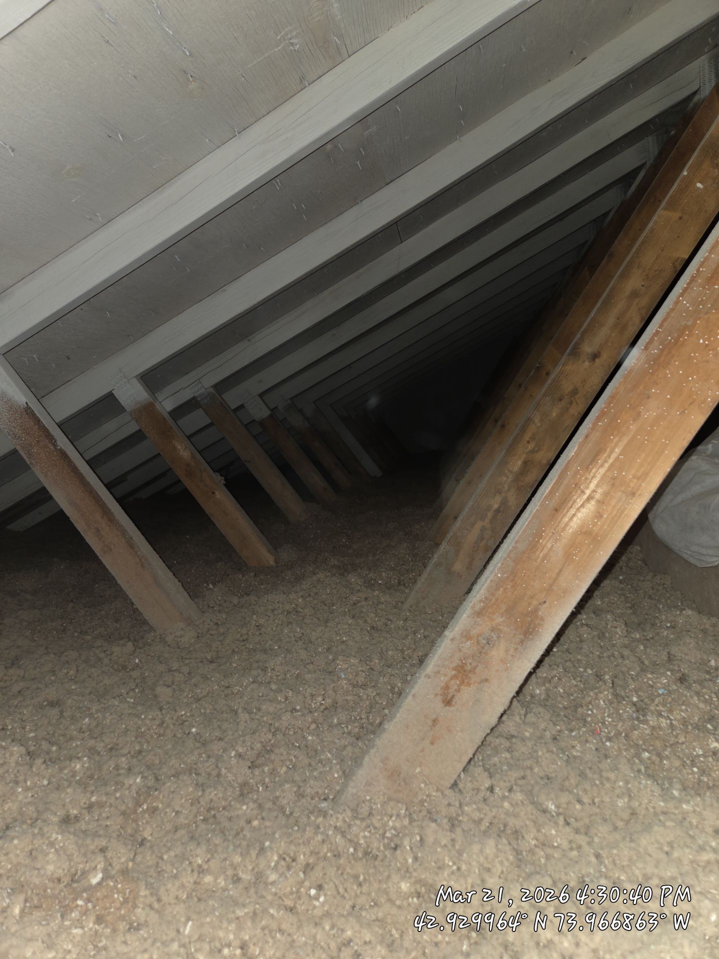 Cellulose walkway Rim by Saffron Elite Home Performance & Building Science