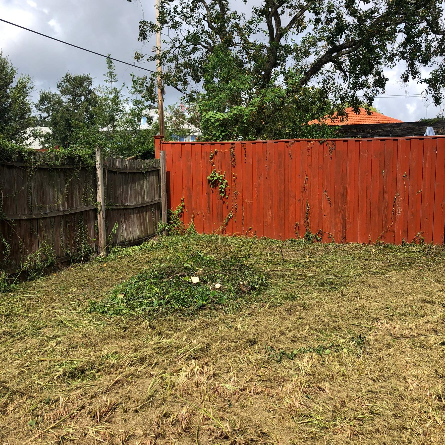 Extreme Clean Up | Riverside Area by ProGreen Services