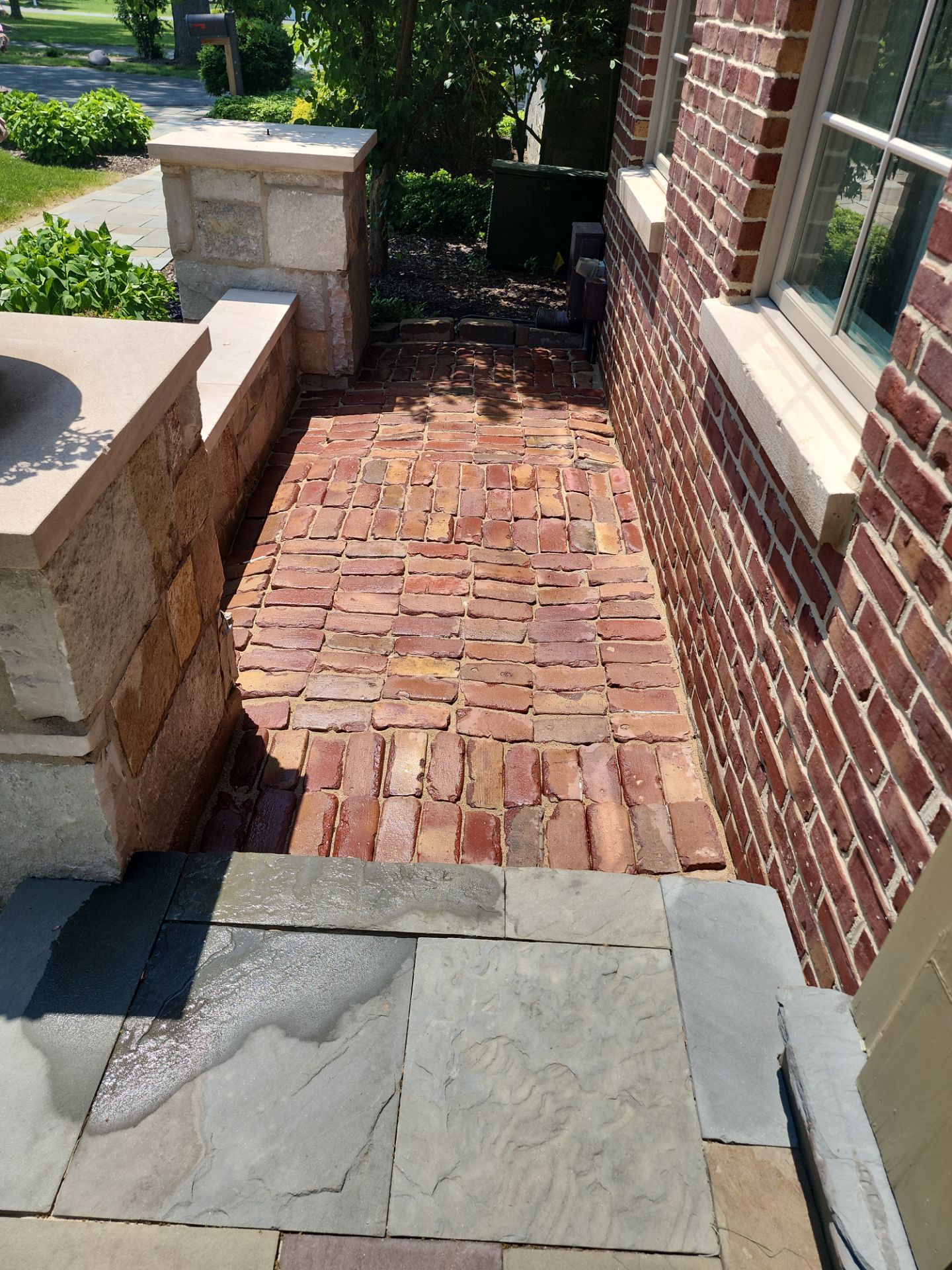 bluestone using Algaecide, soft wash soap by Northern Power Washing LLC.
