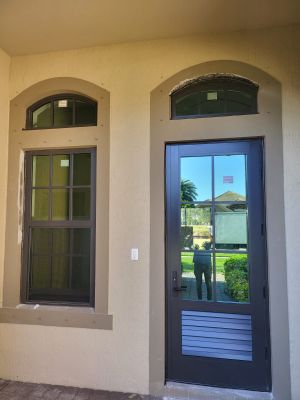Project in Wellington