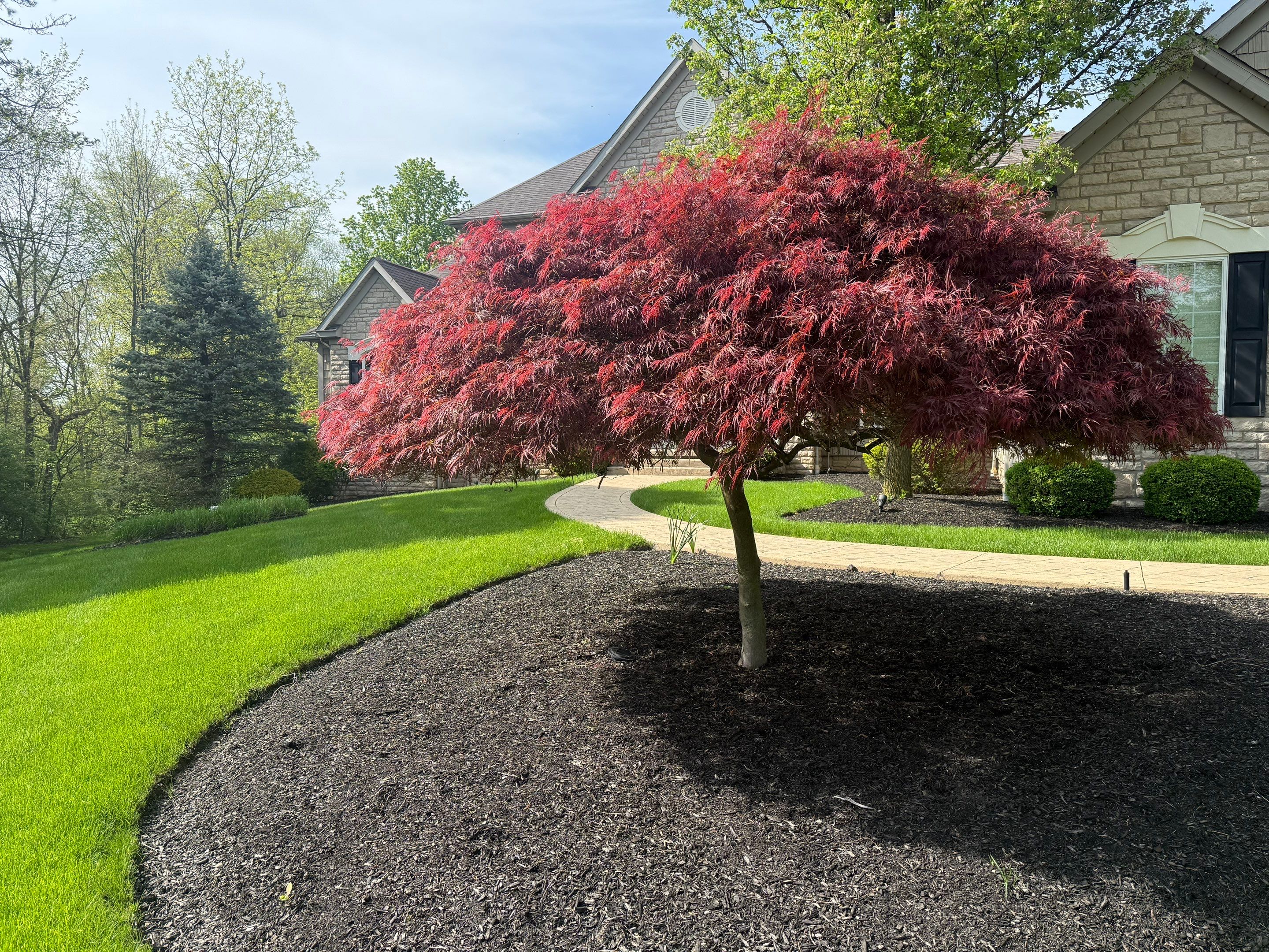 Acreage Maintenance Project by Elm Rose Gardens