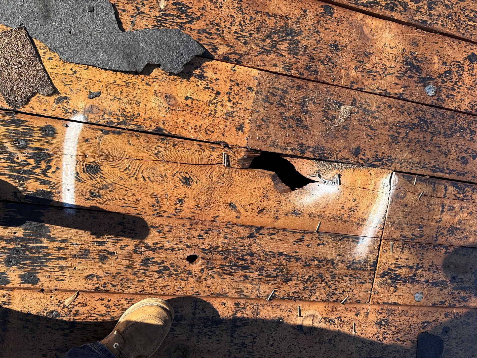 Project in St. Petersburg 33714 by Mitchell Roofing Company LLC 