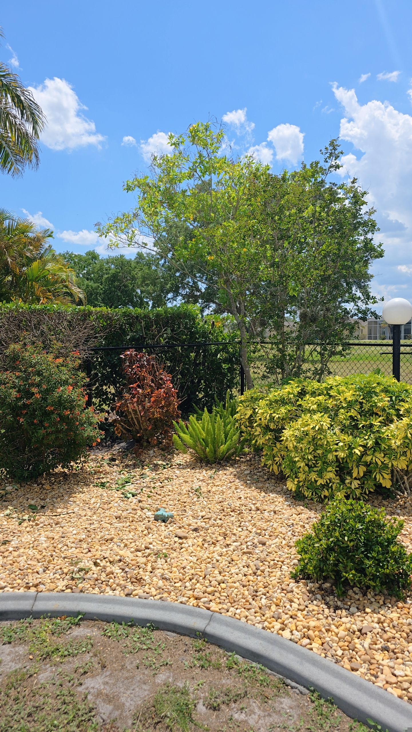 Chain Link Fence in Punta Gorda by True Fence LLC