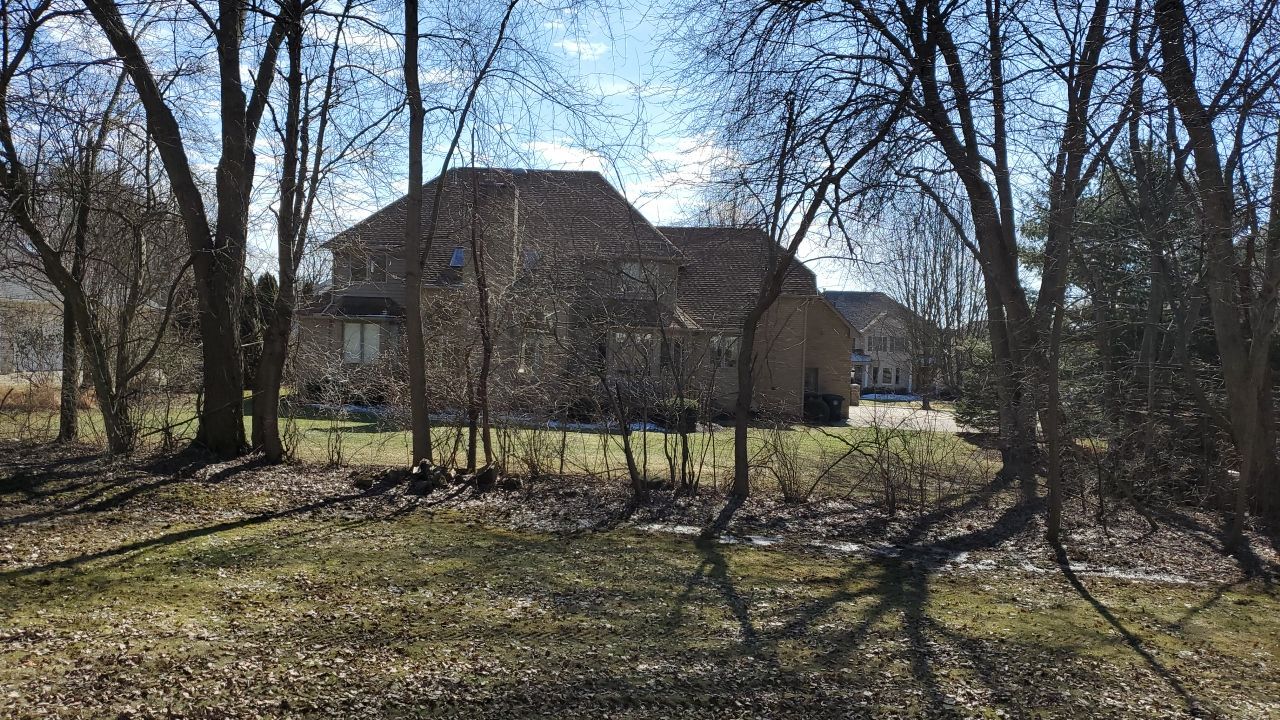 Tree Removal using Tree Removal by Mike Jones & Sons Tree Service LLC 