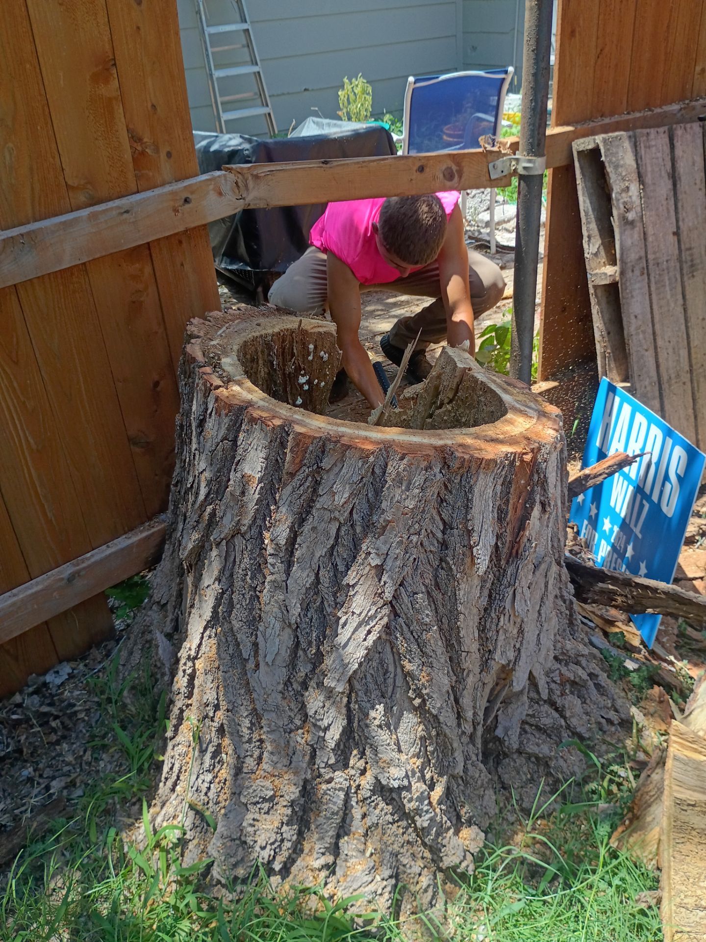 Dangerous Tree Tree Removal  by Clays Services Inc