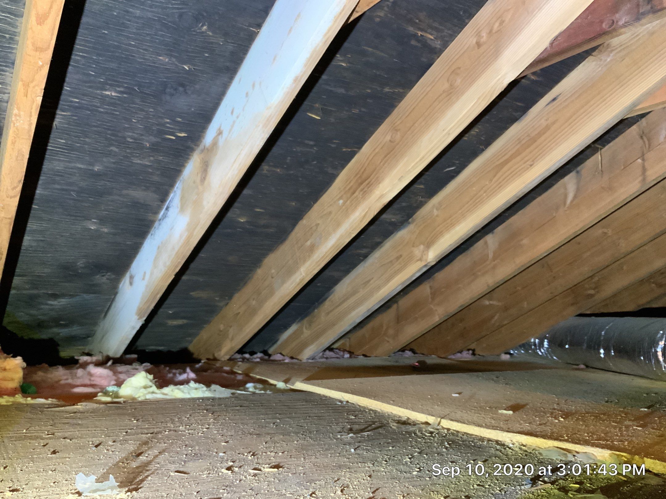 Attic Mold Remediation Job in Vernon Township, NJ by Pure Service Pro, LLC 