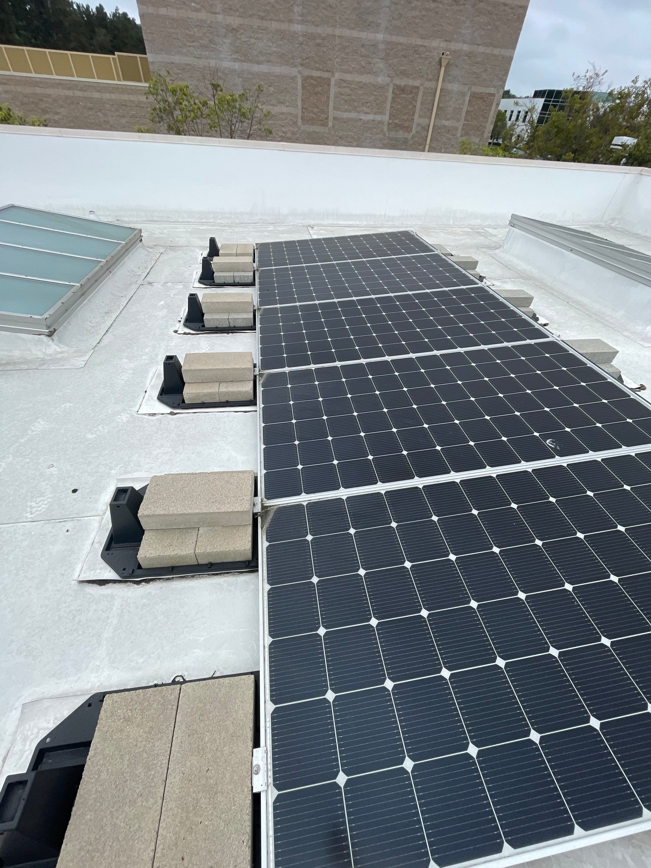Commercial Solar Cleaning by Palm Coast Solar Cleaning