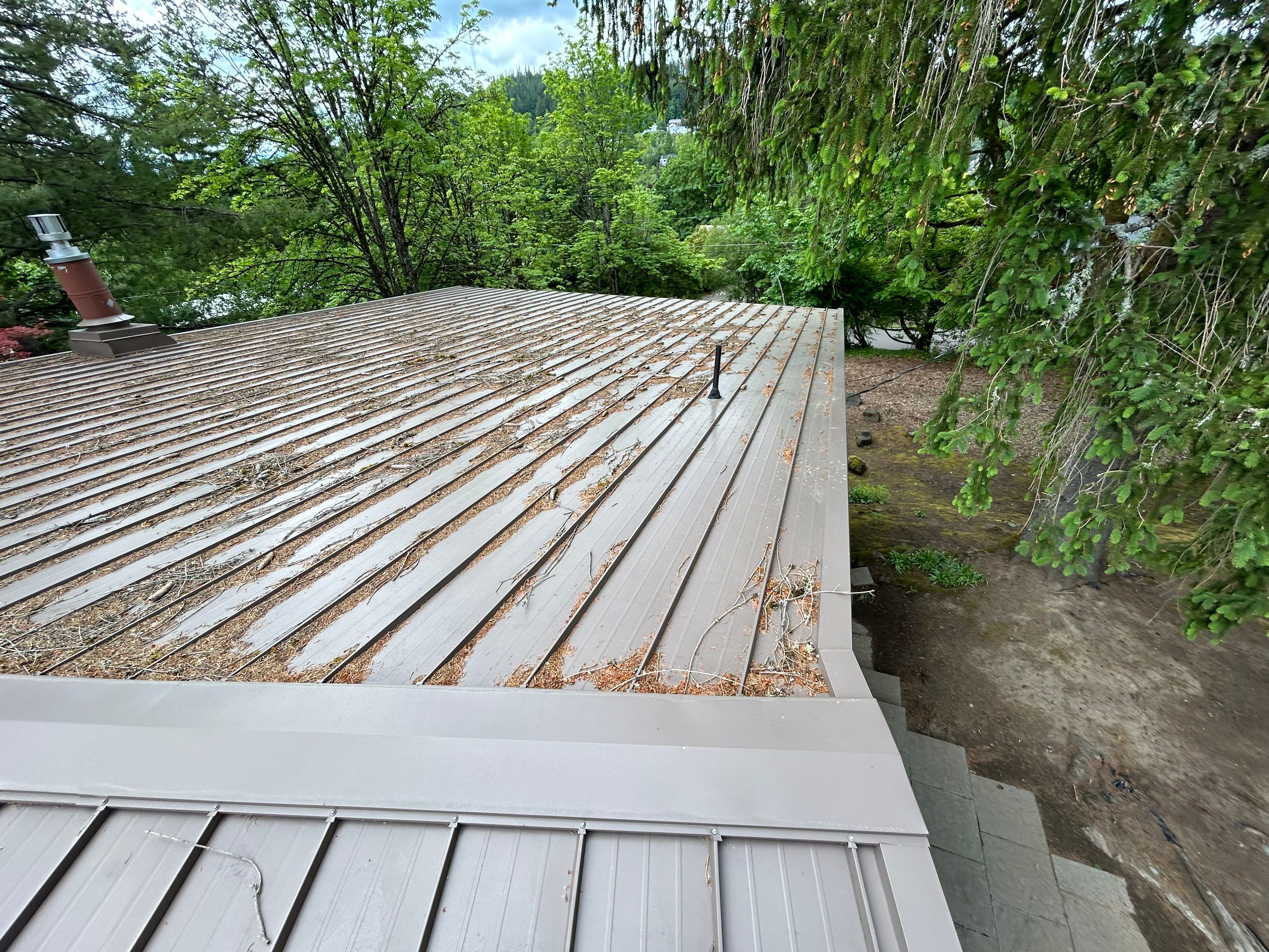 Roof Cleaning in Portland by Prodigy Roof Solutions