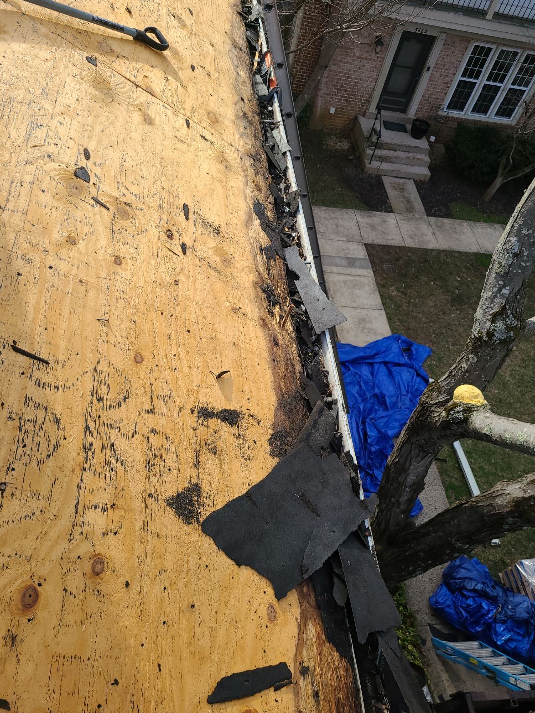 Burke CertainTeed Landmark Pro Roof in Max Def Espresso by RM Banning, Inc.