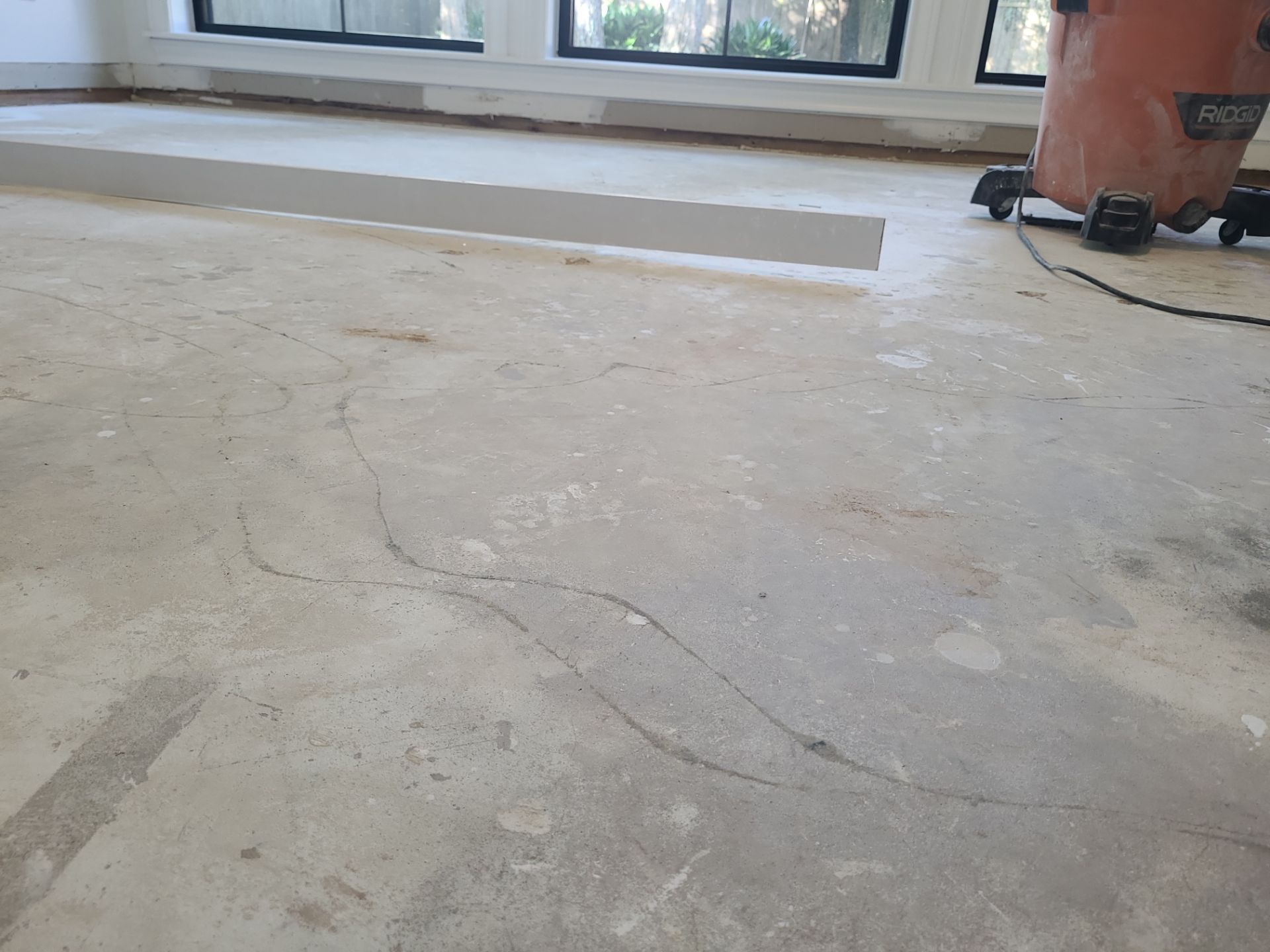 The Napolitano Family by SophAlx LLC