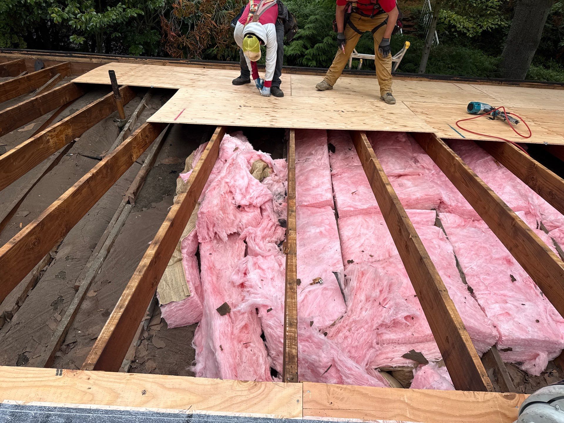 Seattle WA, GAF Everguard TPO  by Proline Roofing & Restoration LLC