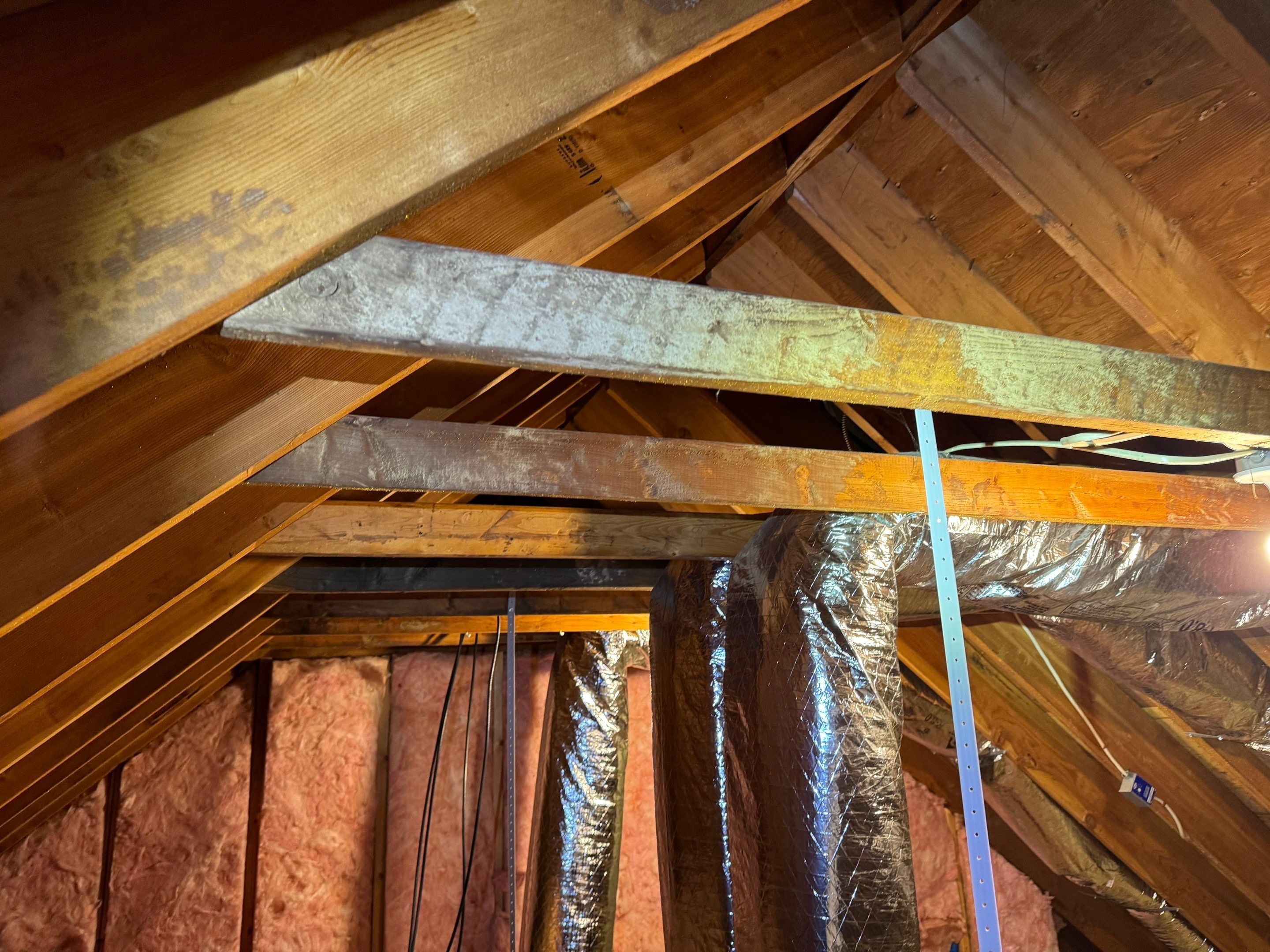 Bathroom Mold Remediation by Home Guarantee, LLC