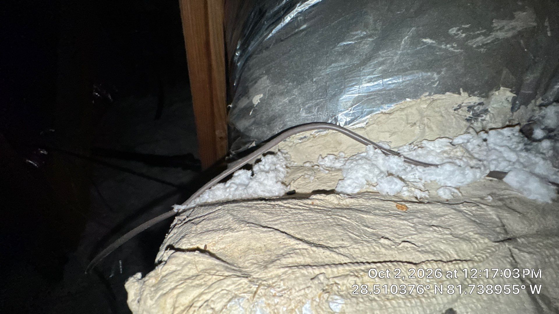 Attic Duct & Dryer Exhaust Inspection in Clermont by Hygienic Air, Inc