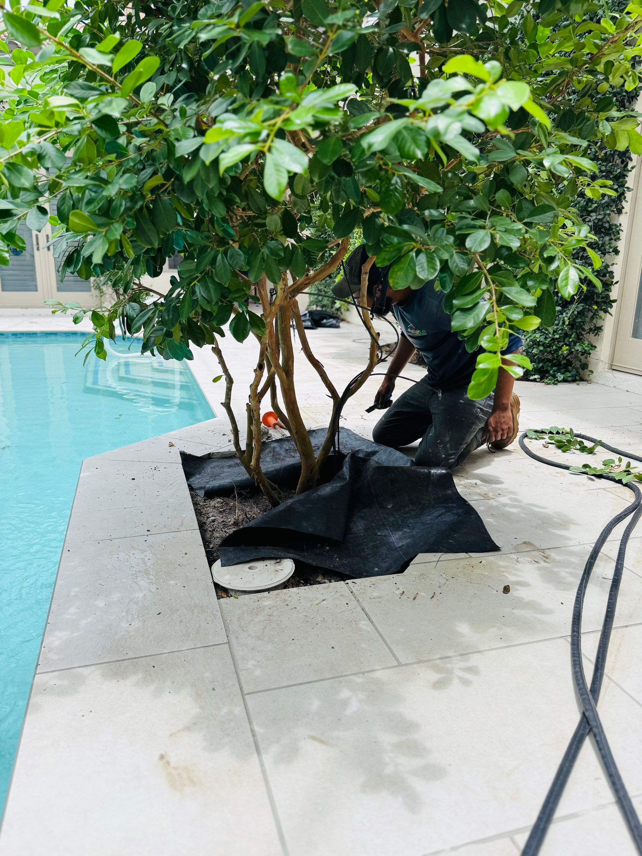 Pool Deck/Landscape/landscape lighting/pool coping/porcelain pavers/Pelican Marsh by Old Town Pavers Llc