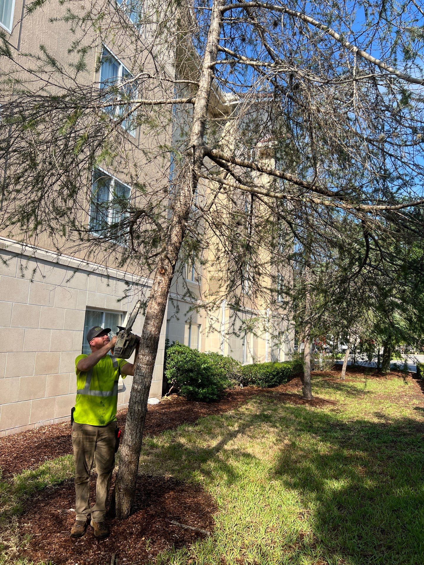 Homewood Suites | Tree Service by ProGreen Services