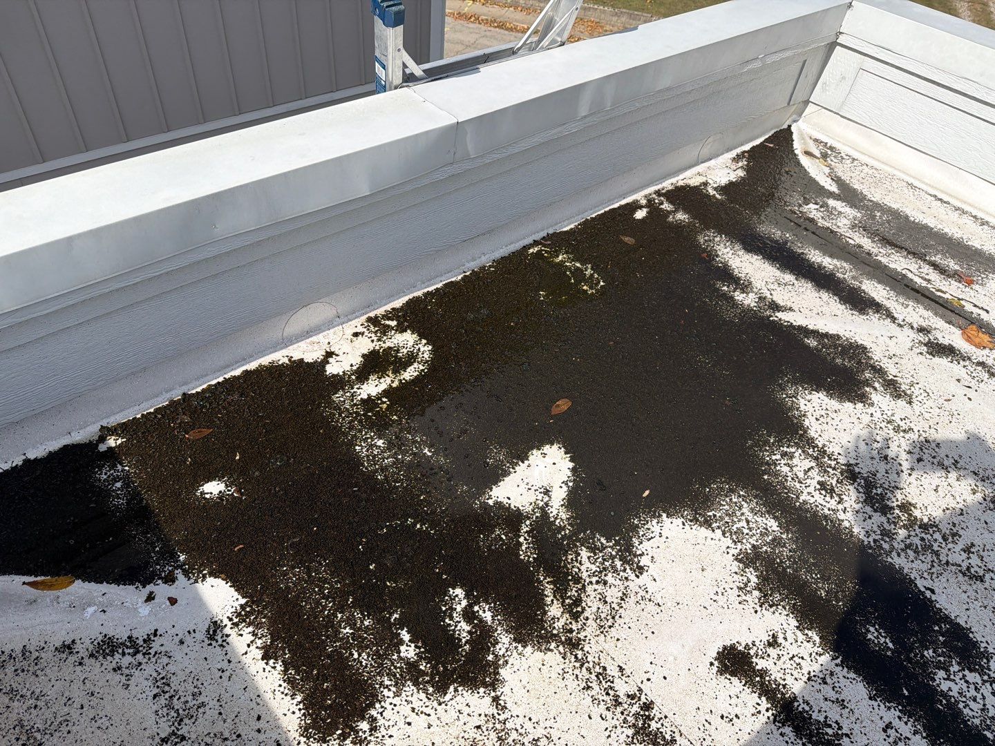 2610 Broadway St • Indianapolis, IN 46205 by 317 Roofing & Restorations