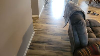 Project in Dover