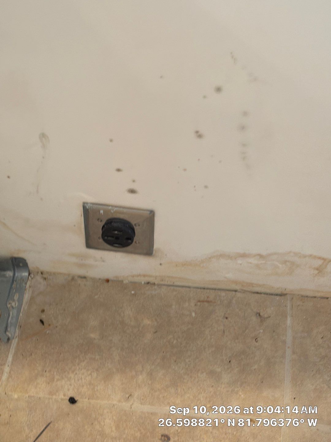 Fort Myers Water Damage Restoration and Professional Mold Remediation by Microscope