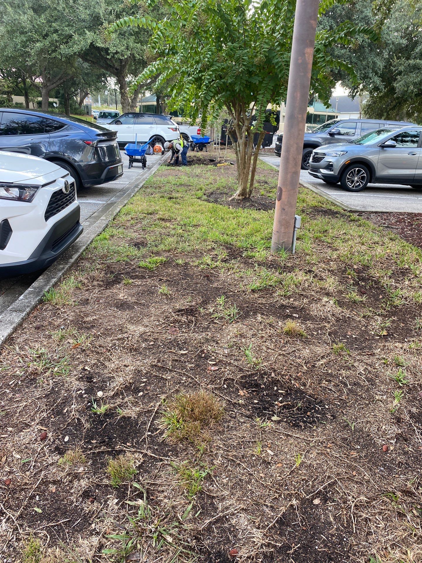 Simonic II | Business Complex Landscape by ProGreen Services