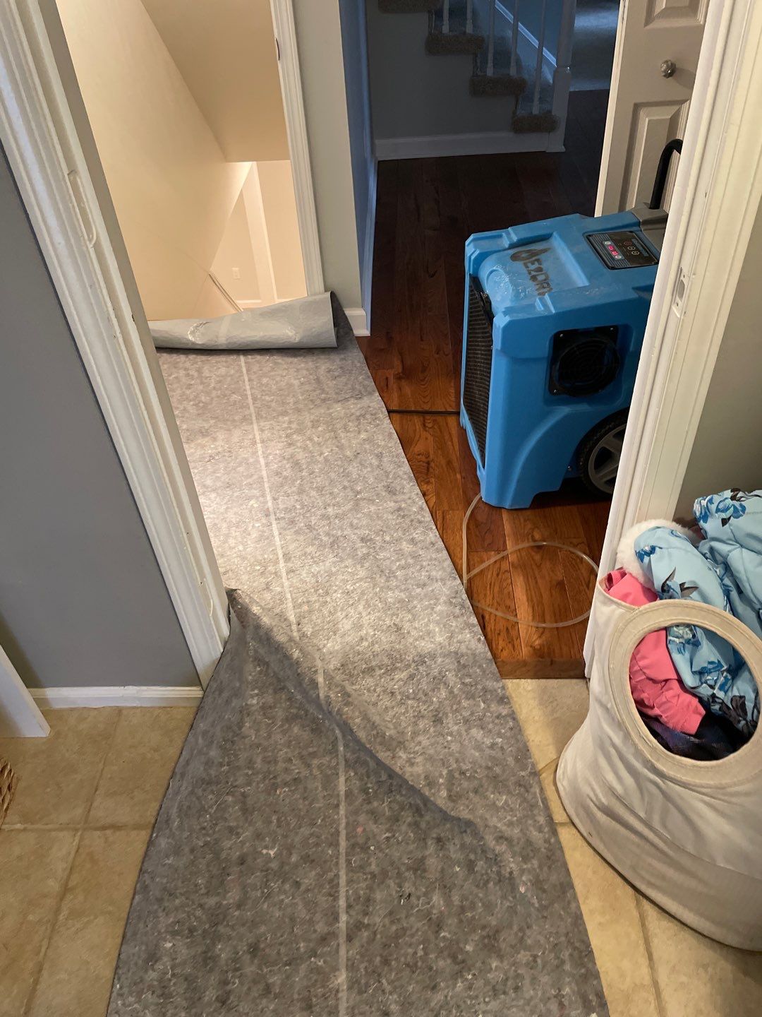 Project in Brighton by EzDry Water Mitigation & Property Restoration