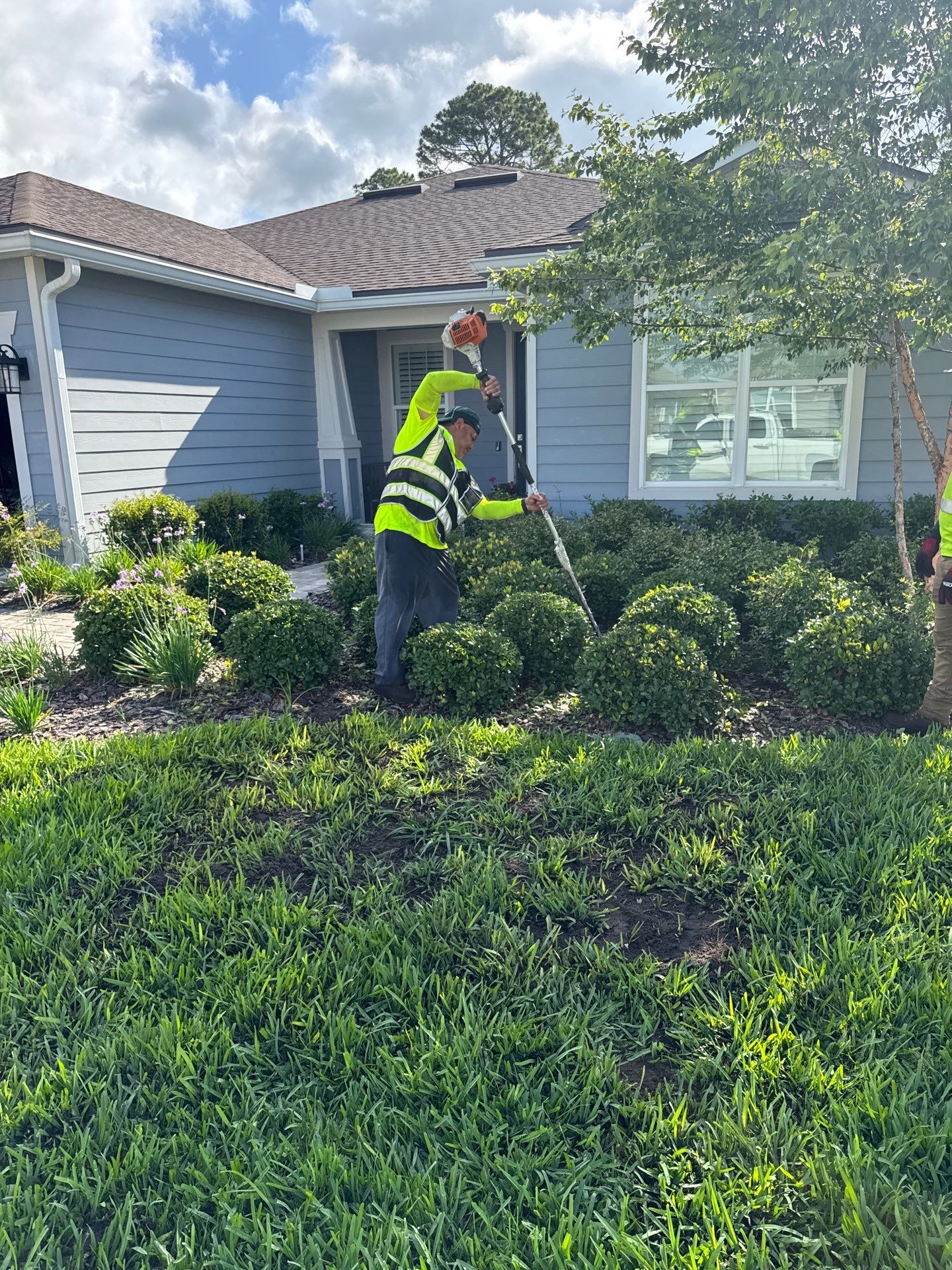 Residential | Topsoil Install & Tree Trimming by ProGreen Services