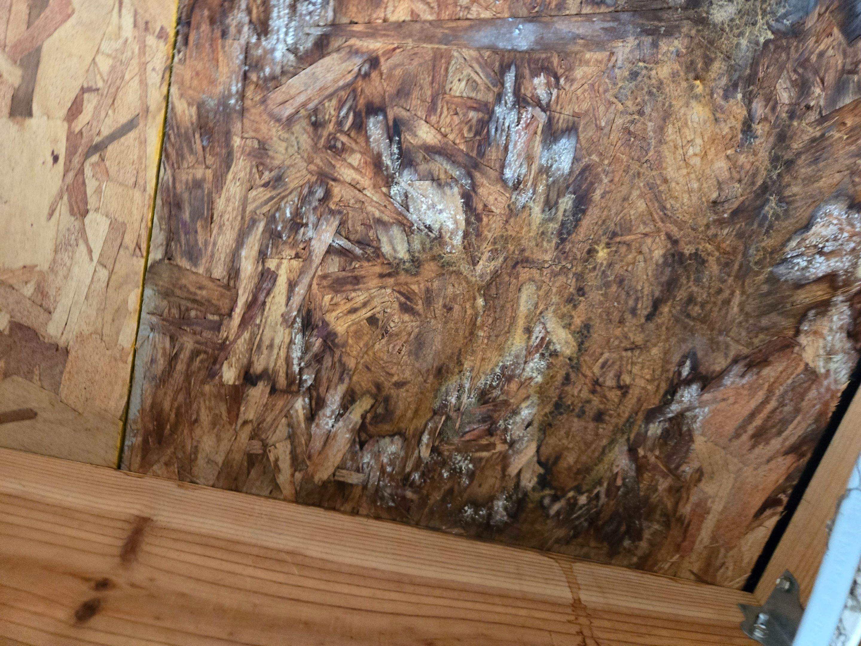 Residential Flat Roof Reconstruction & Substrate Repair by Level Up Roofing and Restoration Services LLC