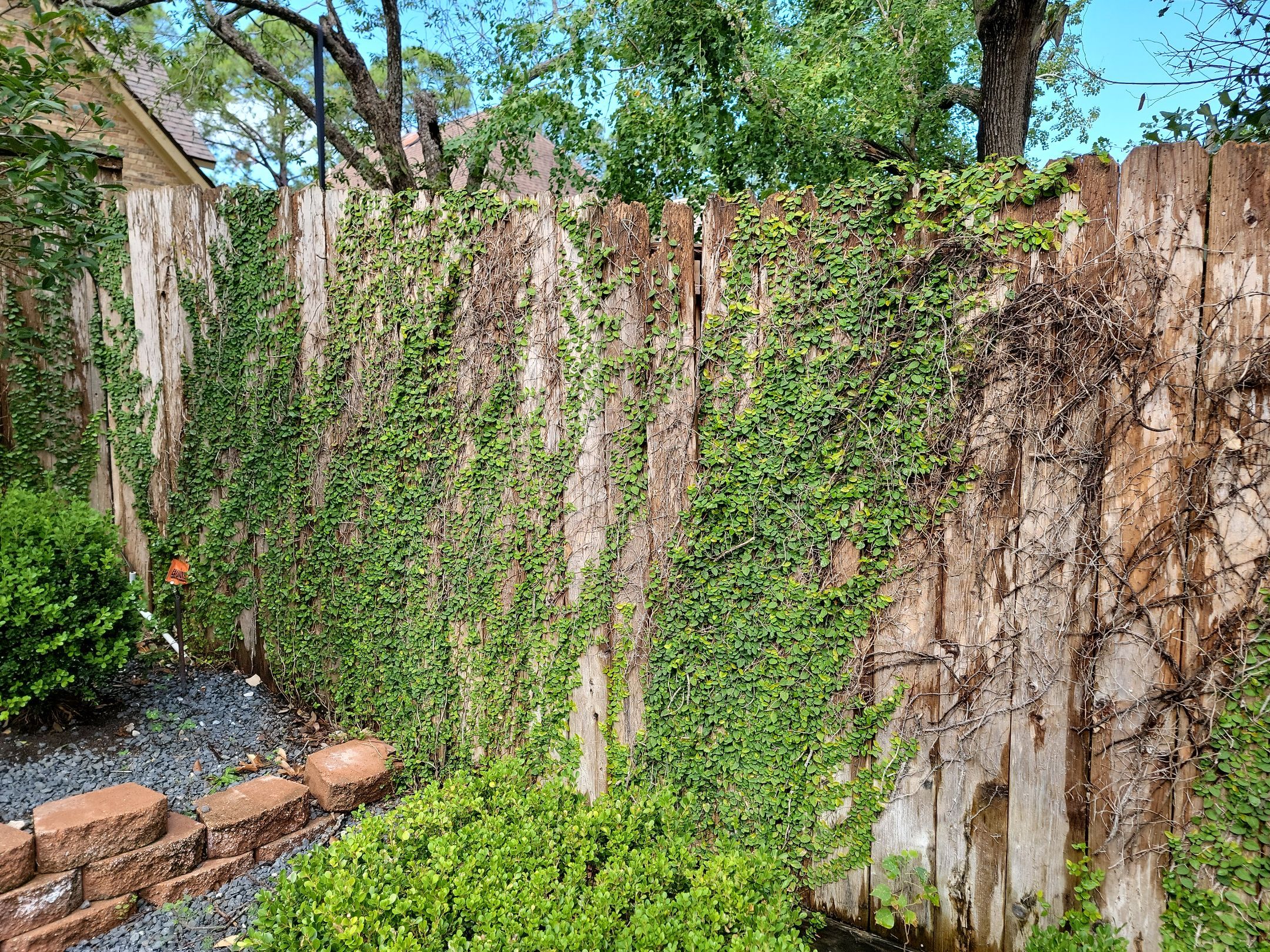 Fence Installation for Poolside Paradise by Tim's Fences