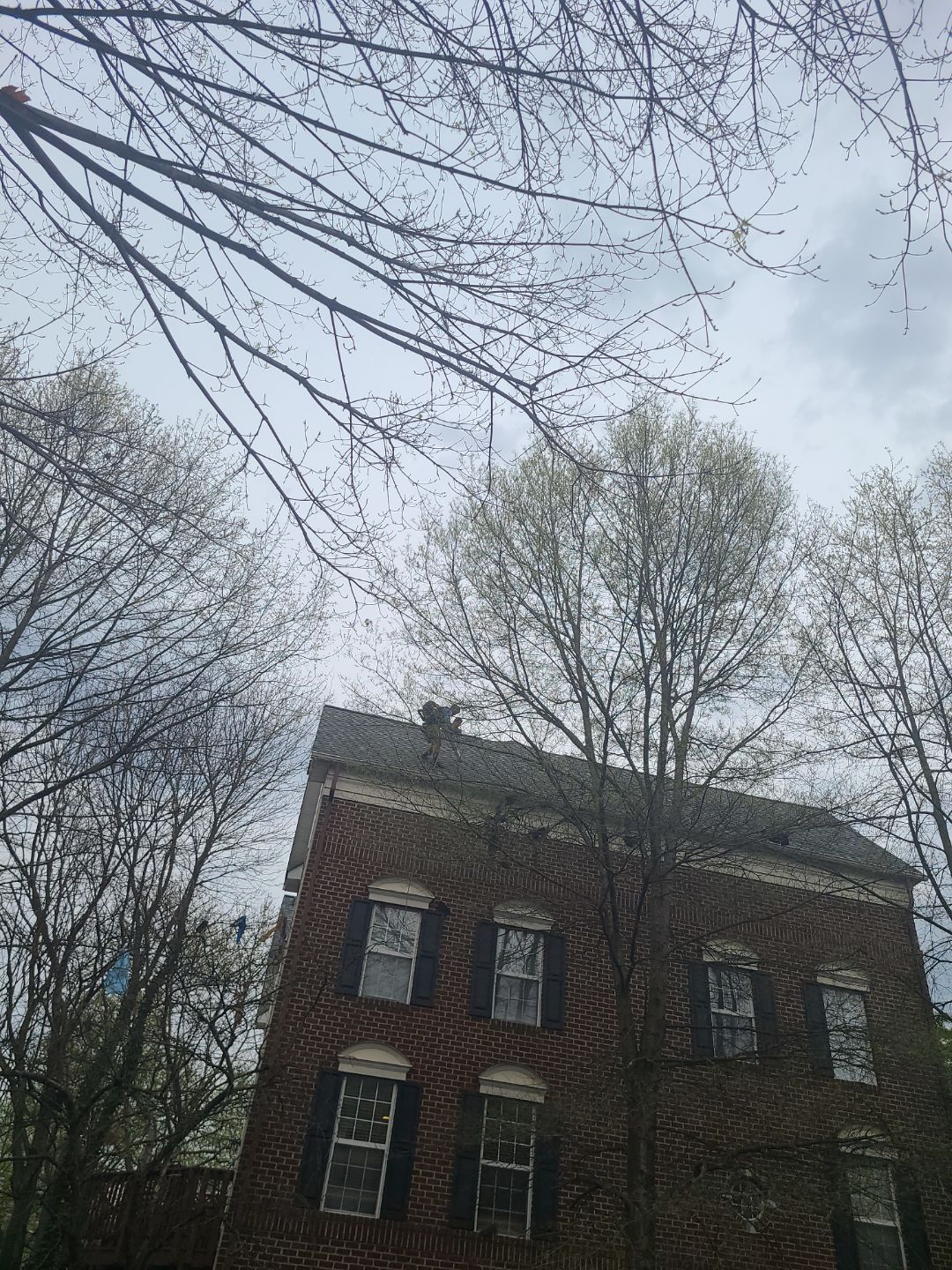 Alexandria: CertainTeed Landmark Pro Designer Shingles in Max Def Georgetown Gray by RM Banning, Inc.