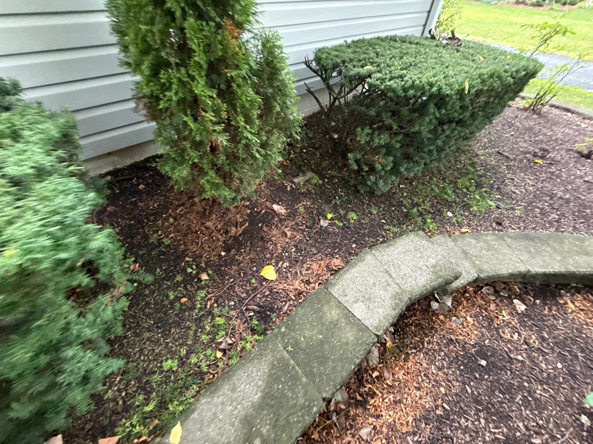 Karen M. - Palatine, IL by A&N