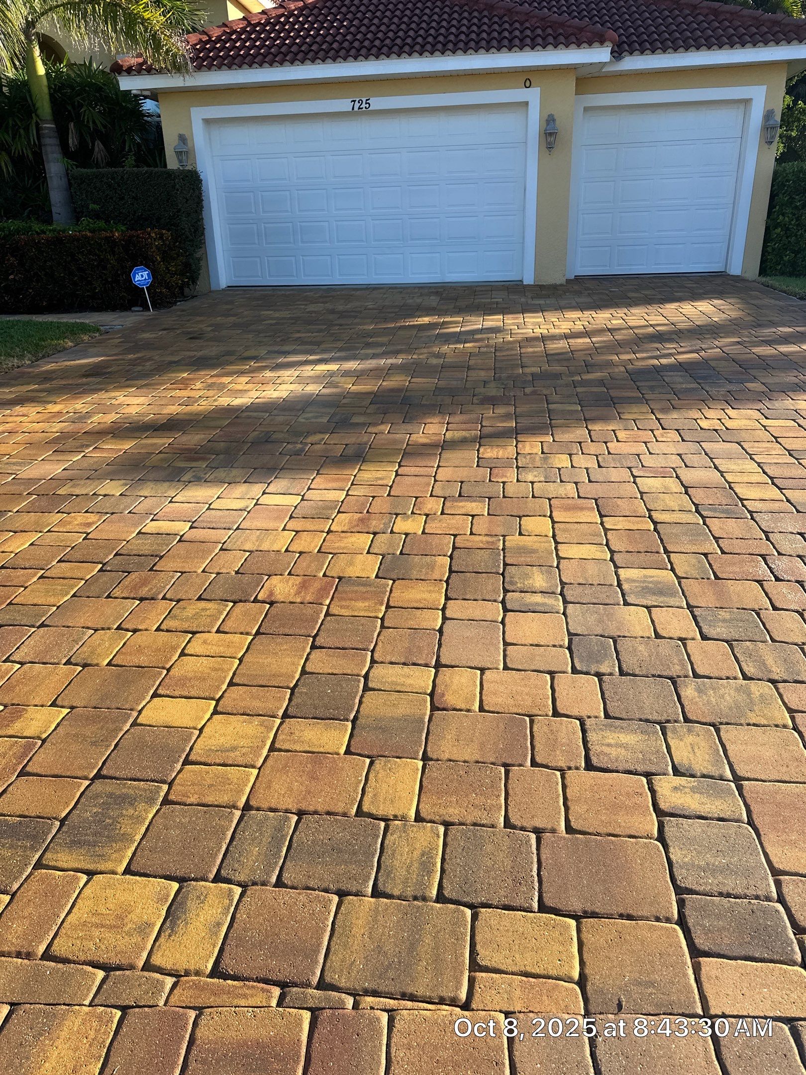 Driveway and Pool Deck Paver Restoration in Apollo Beach by Supreme Paver Experts