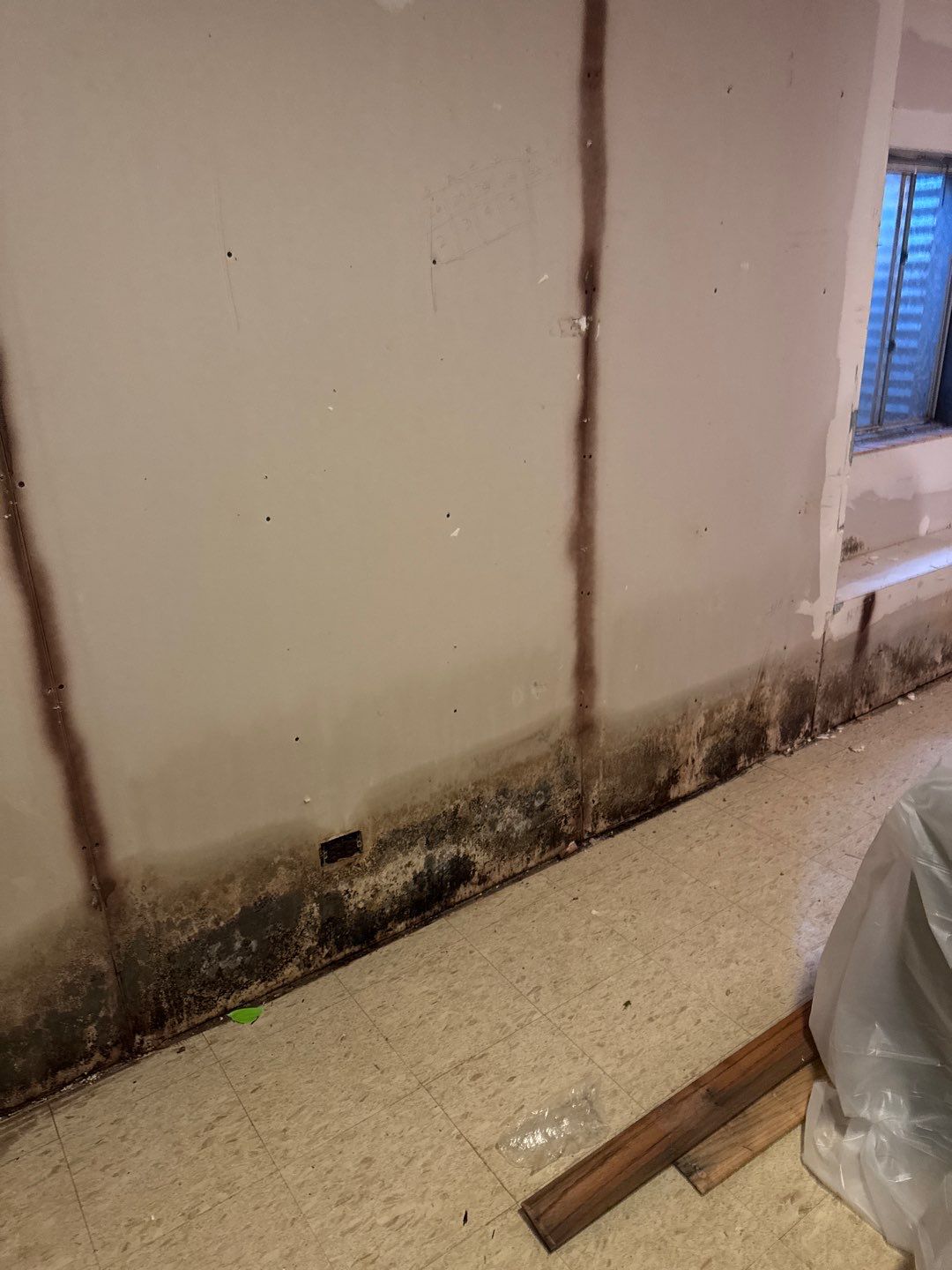 Drain Backup from a Storm by Chicagoland Water Medics