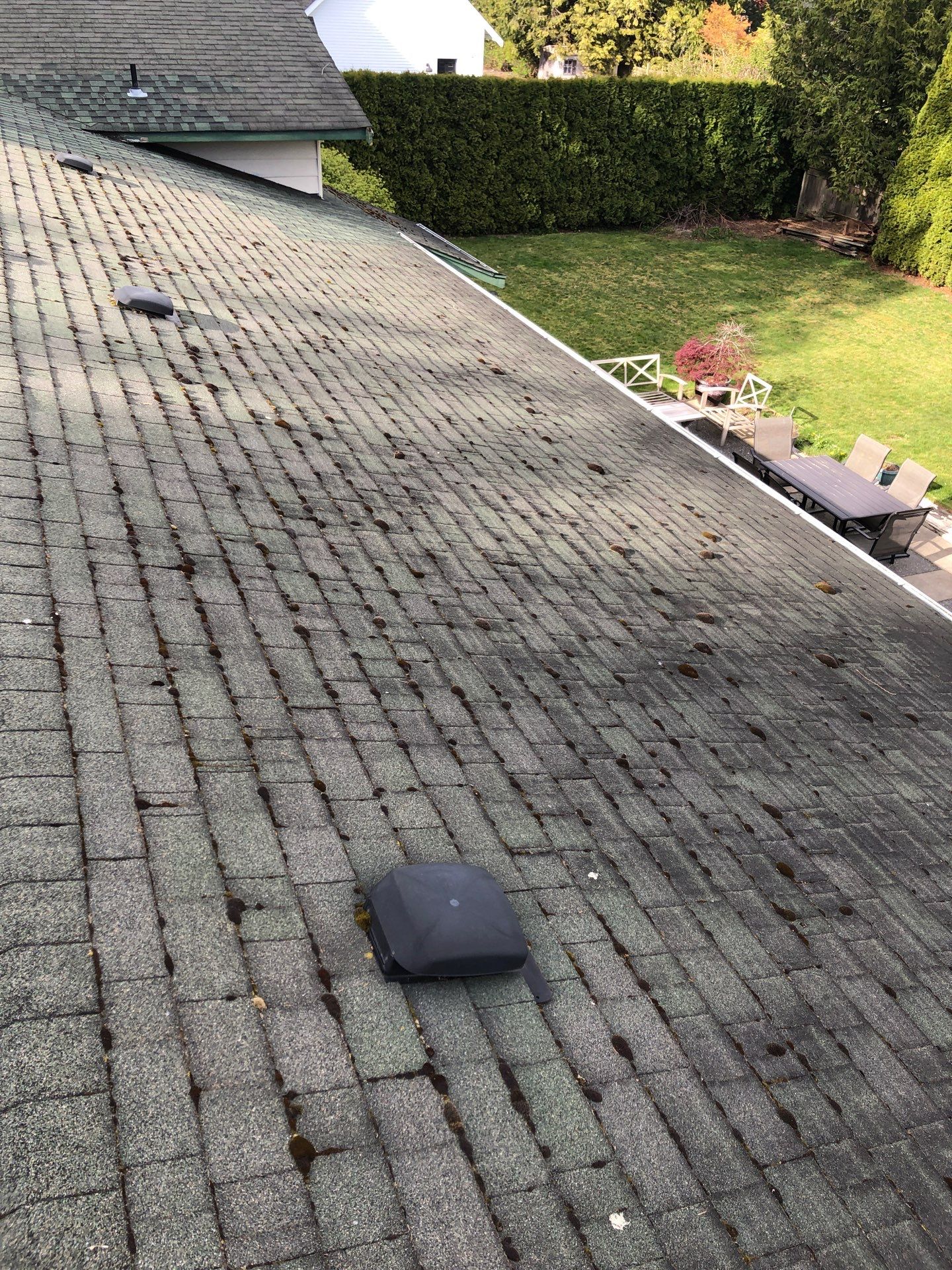 Project in Lynden by Connolly Construction Company