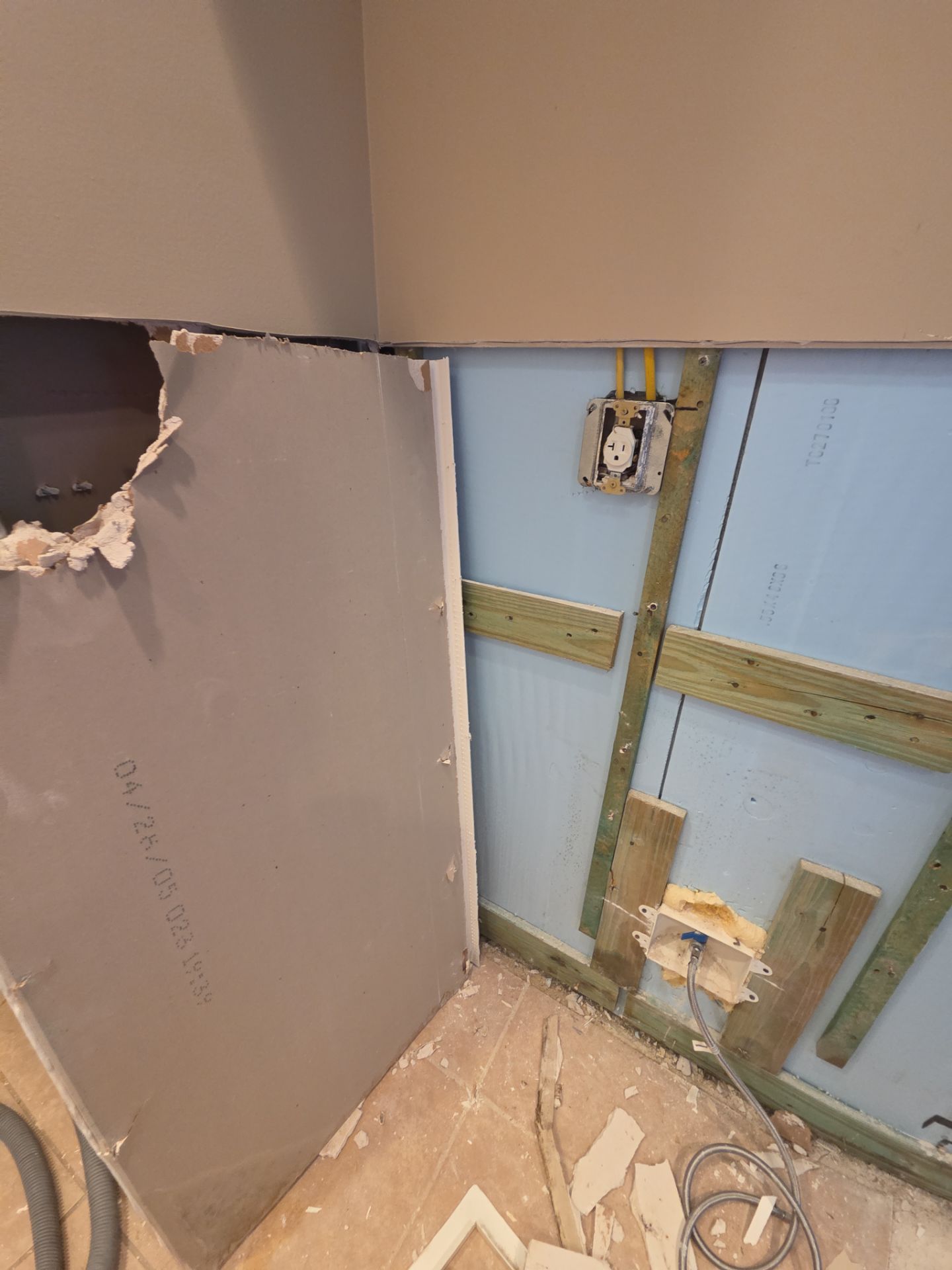 Fort Myers Water Damage Restoration and Professional Mold Remediation by Microscope