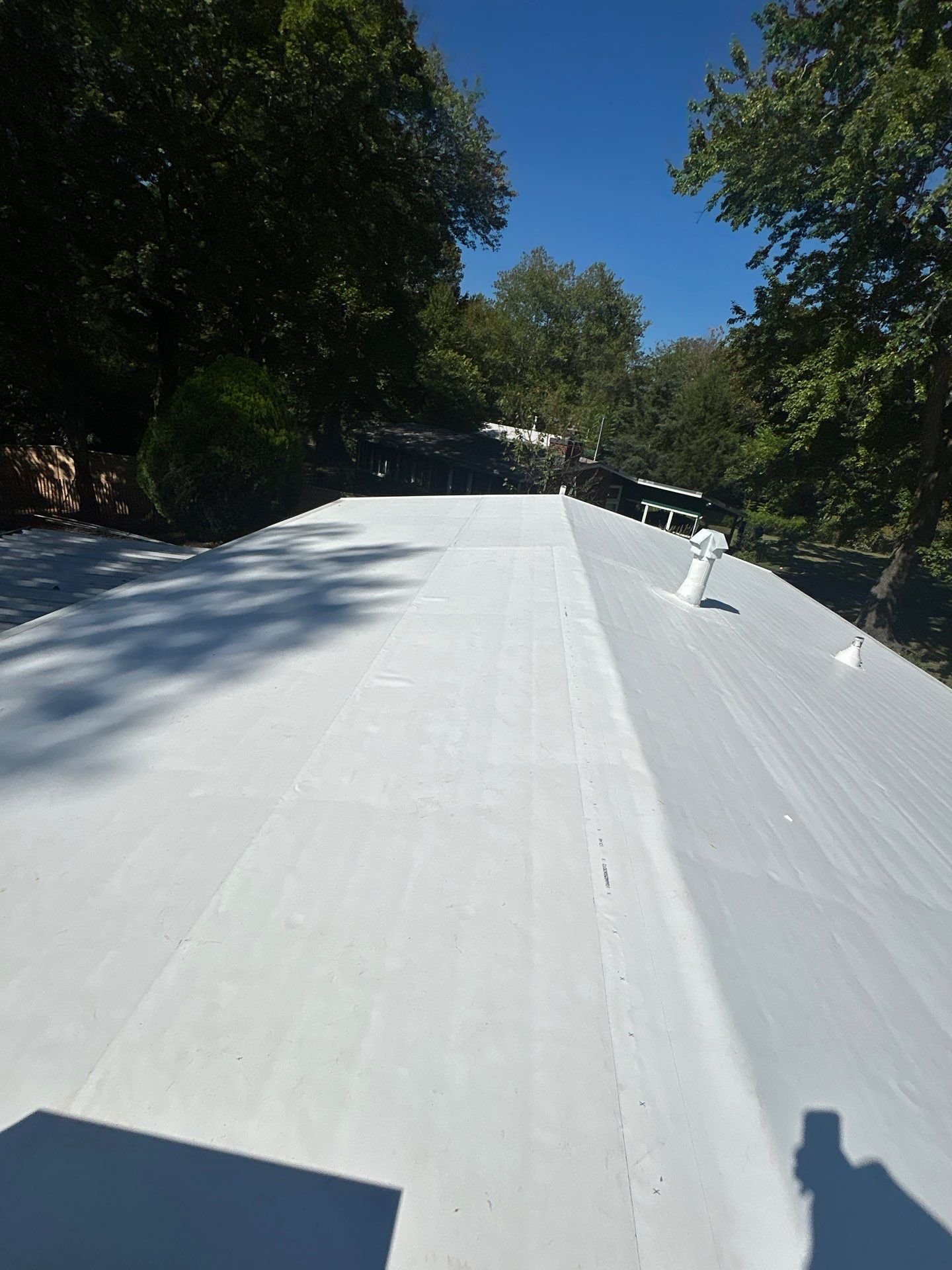 Falls Church :  TPO by RM Banning, Inc.