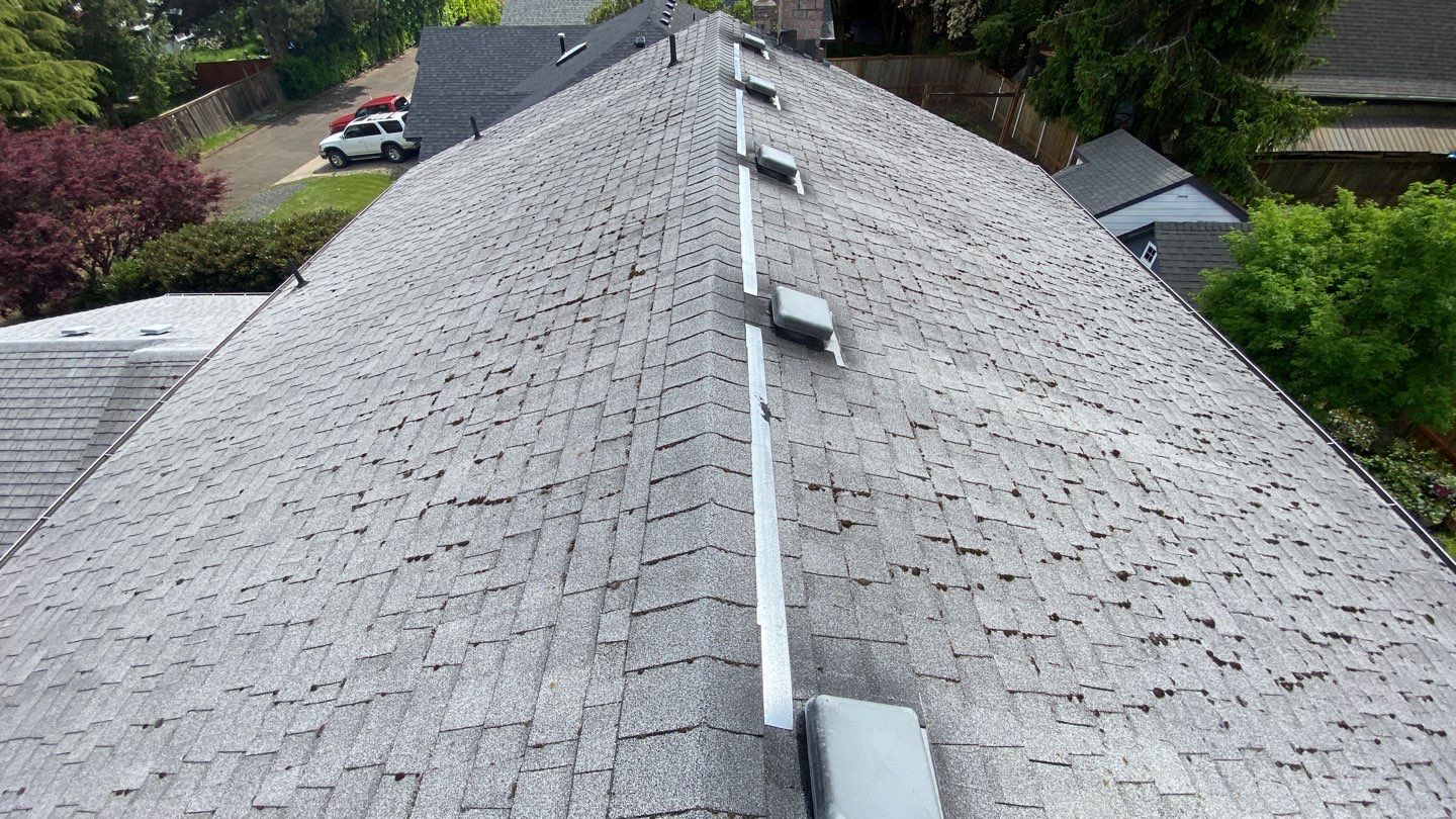 Estate Gray Shingles by Reimagine Roofing