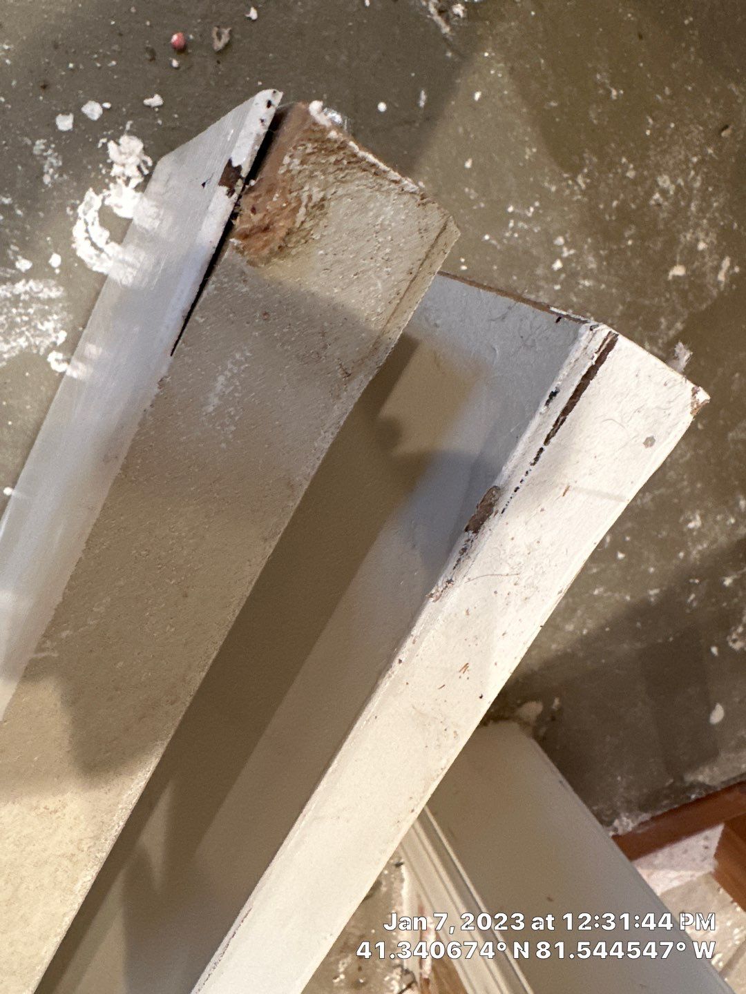 Pipe Burst Emergency Mitigation Demo and Dry Down by Absolute Roofing and Construction