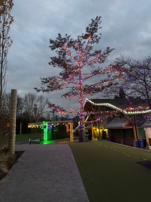 Commercial Holiday Lighting in West Orange, NJ