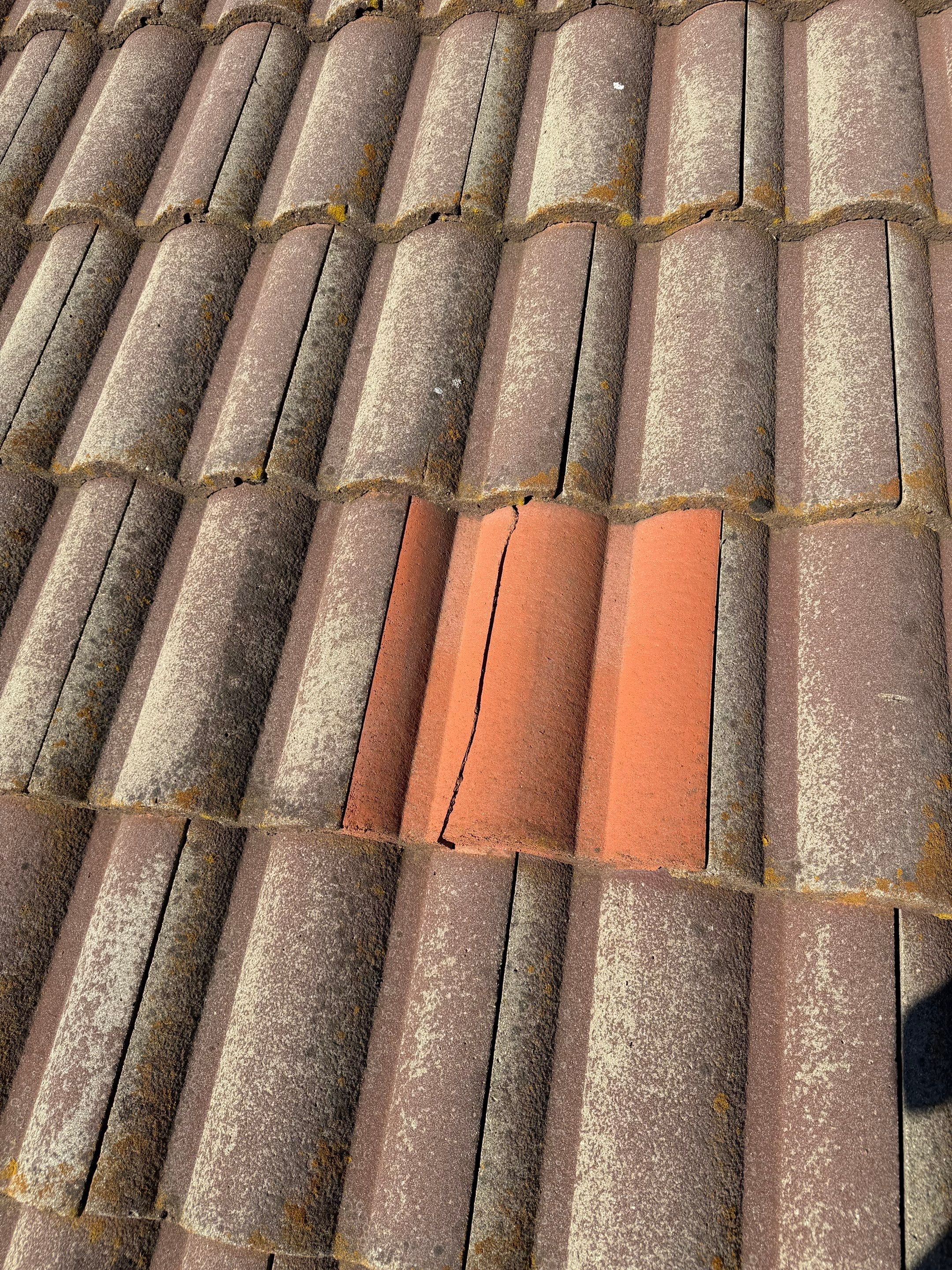 Project in Citrus Heights  by NuLead Construction Inc